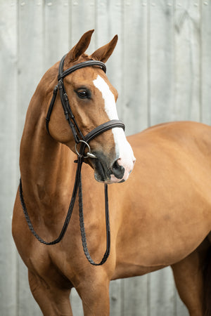Bridle Hunter 2 2100 dark brown / Pony