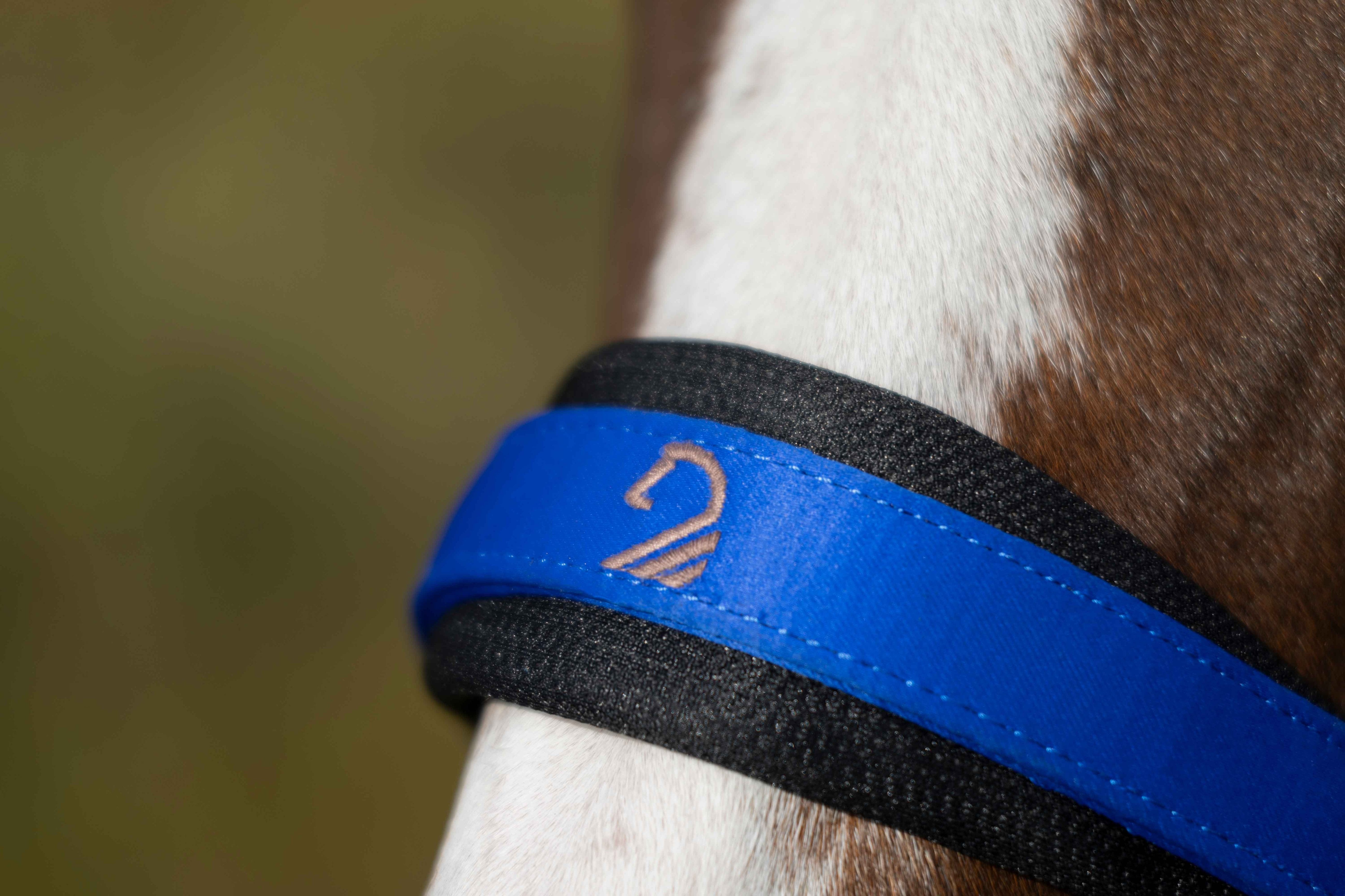 head collar -amalfi- 6500 blue / Full