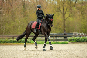Saddle cloth Sports 3296 bordeaux / General purpose