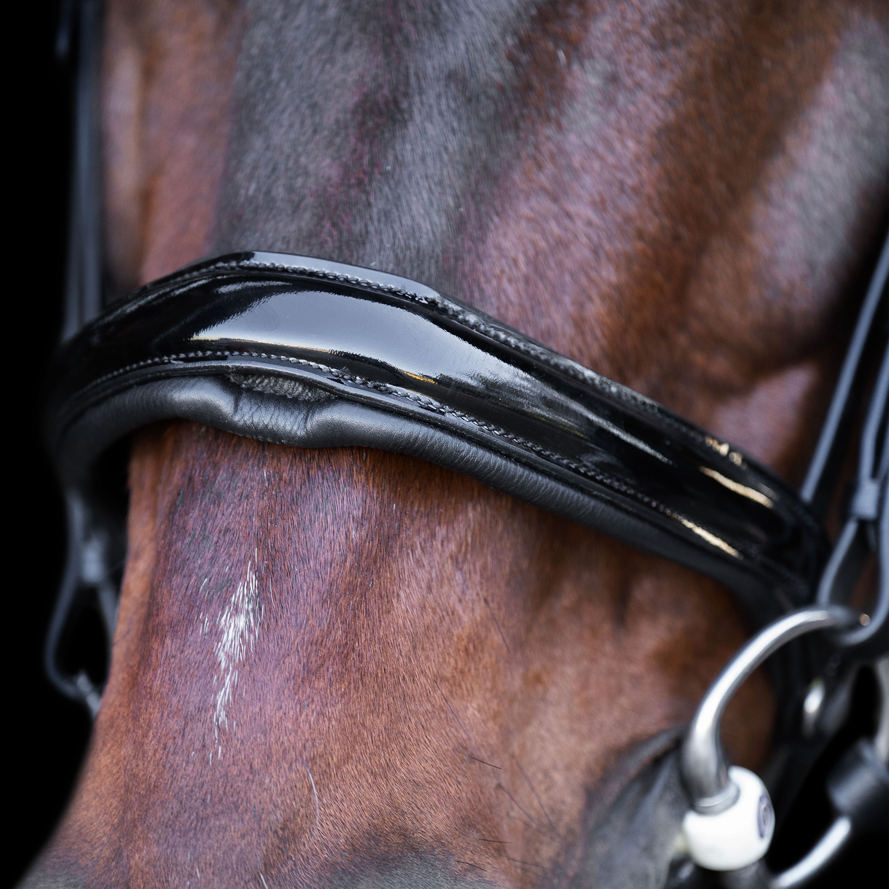 Snaffle bridle with English noseband IRH
