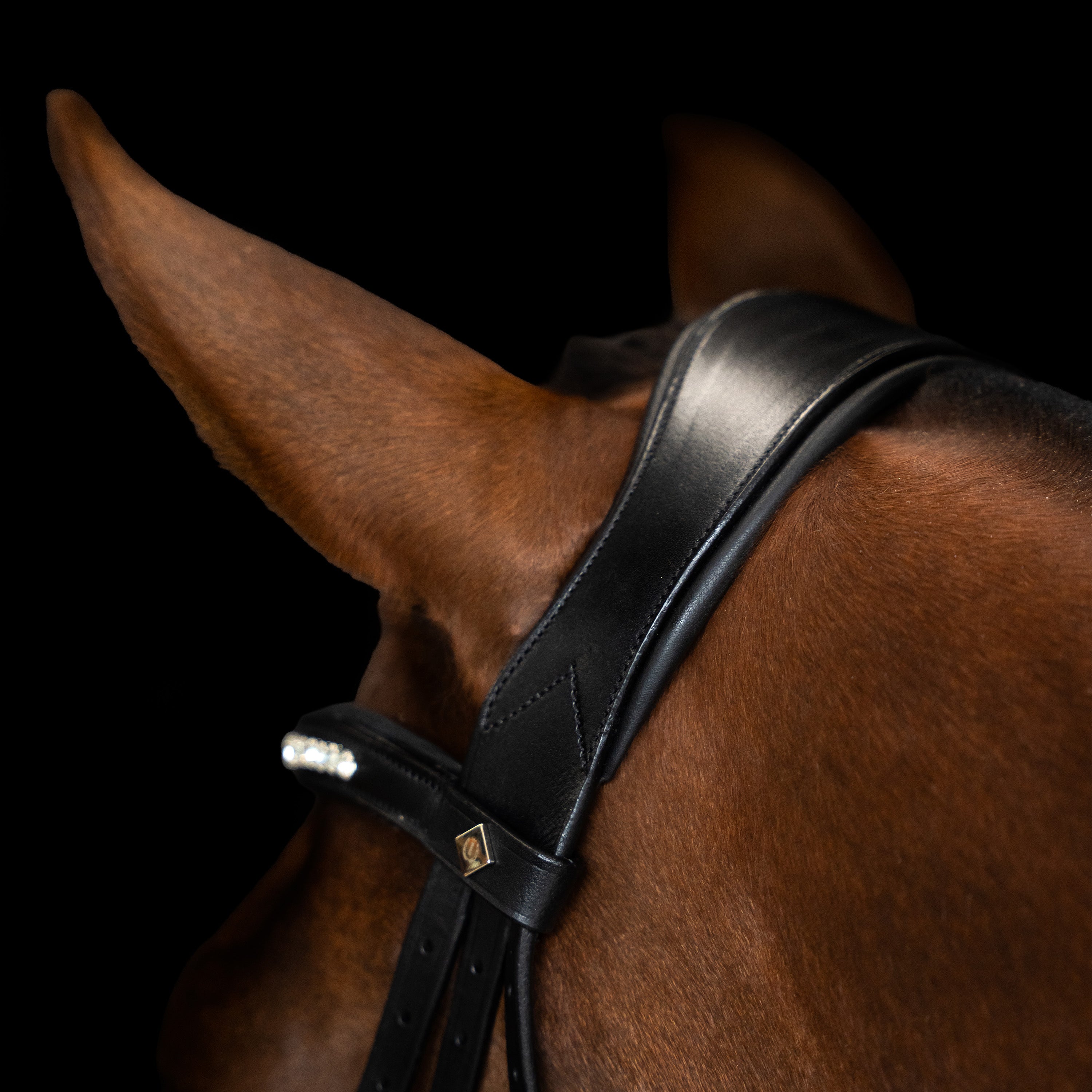 Bridle IRH combined noseband simple