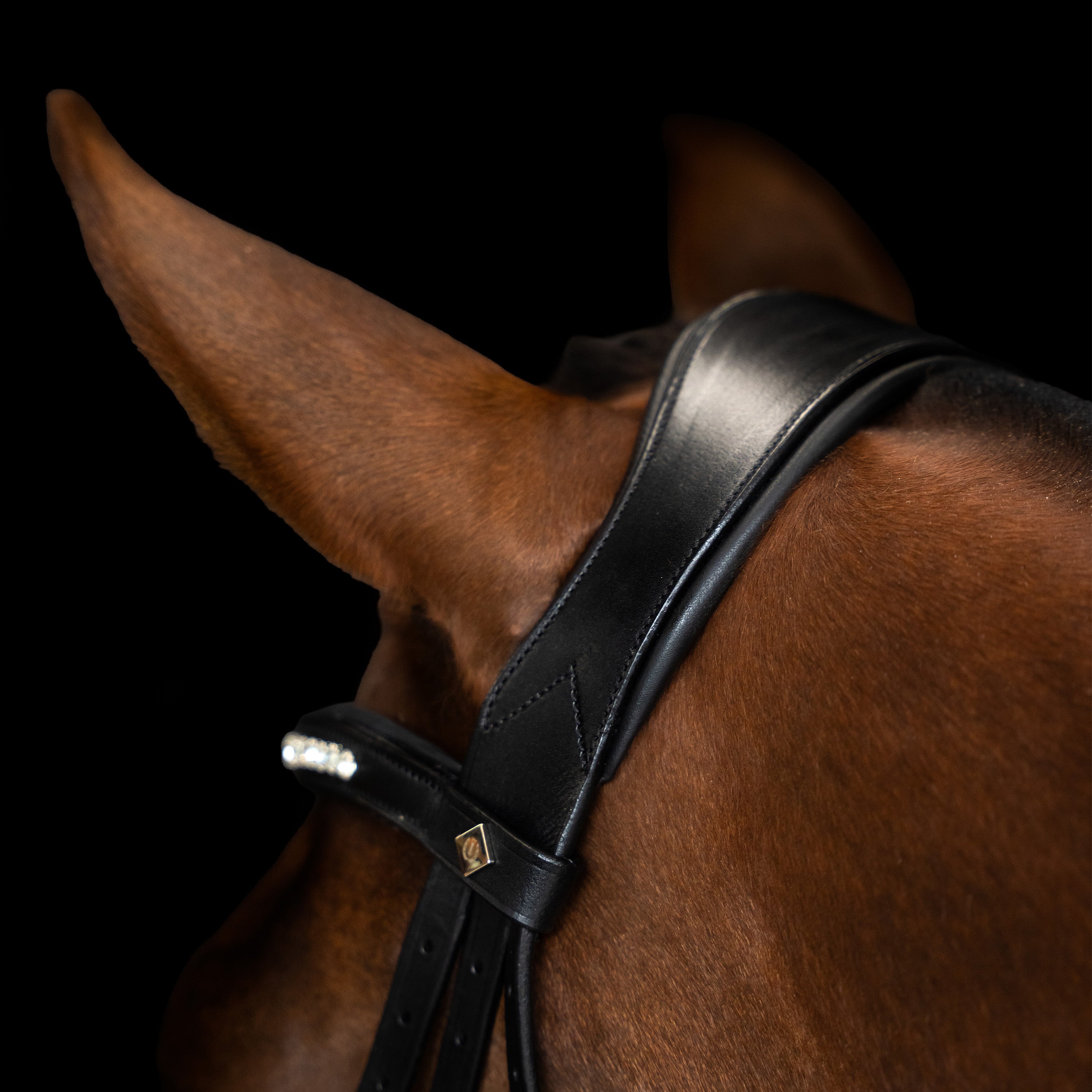 Bridle IRH combined noseband simple