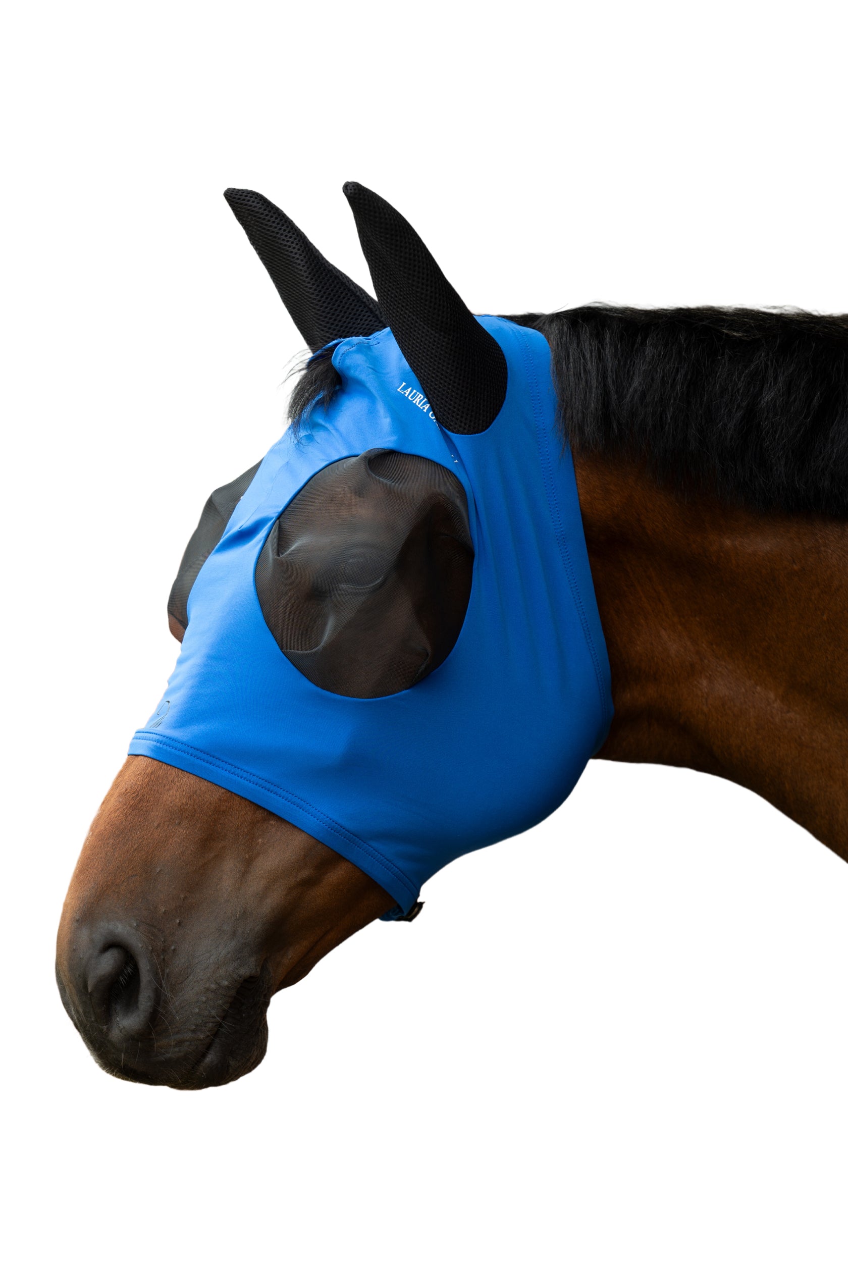 anti-fly mask -amalfi-