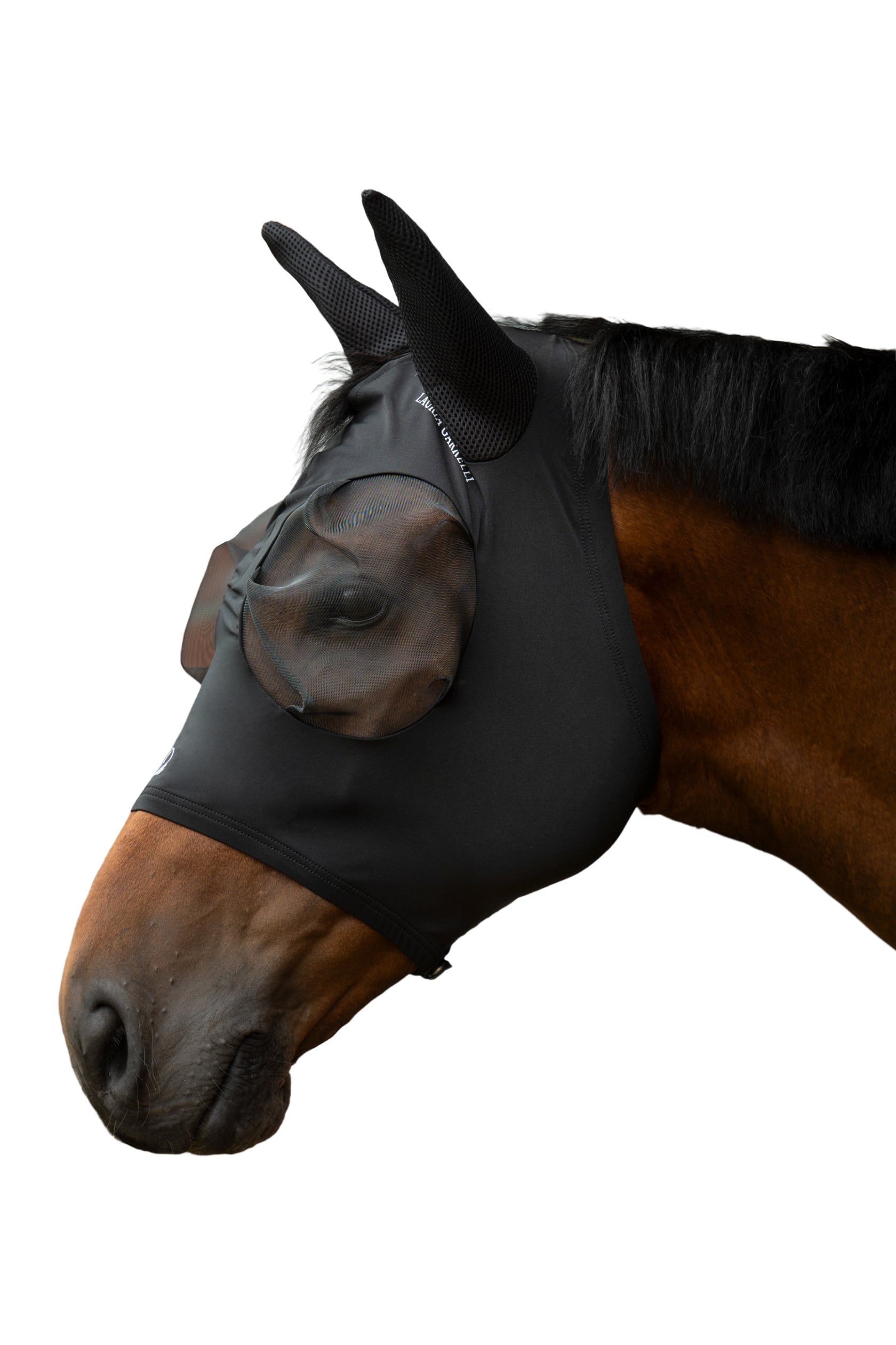 anti-fly mask -amalfi-