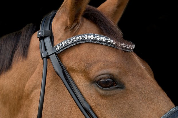 https://www.judi.nl//Files/3/1000/1996/ProductPhotos/620/1516260762.jpg
