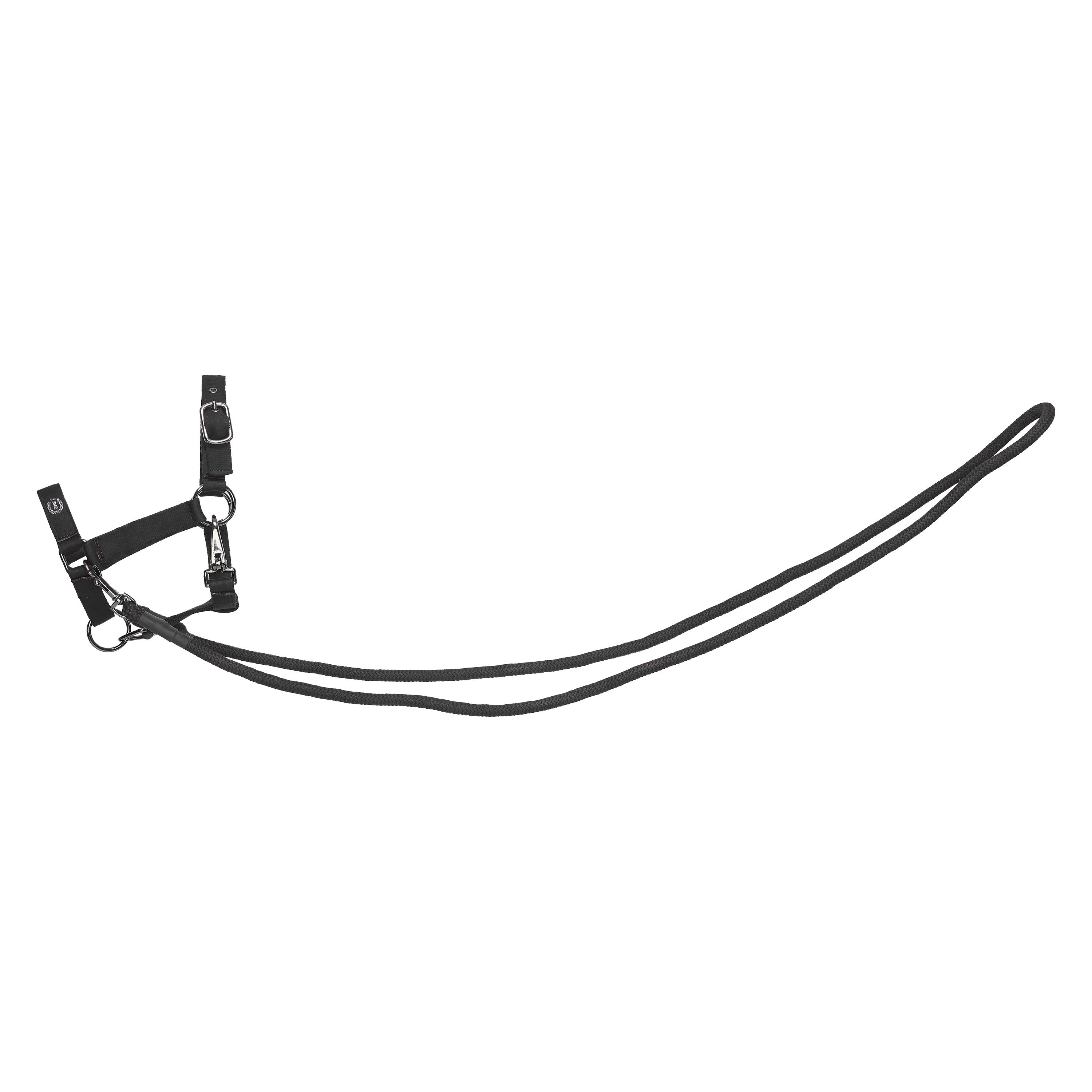 Hobby Horse headcollar Free Ride IRHFree Spirit