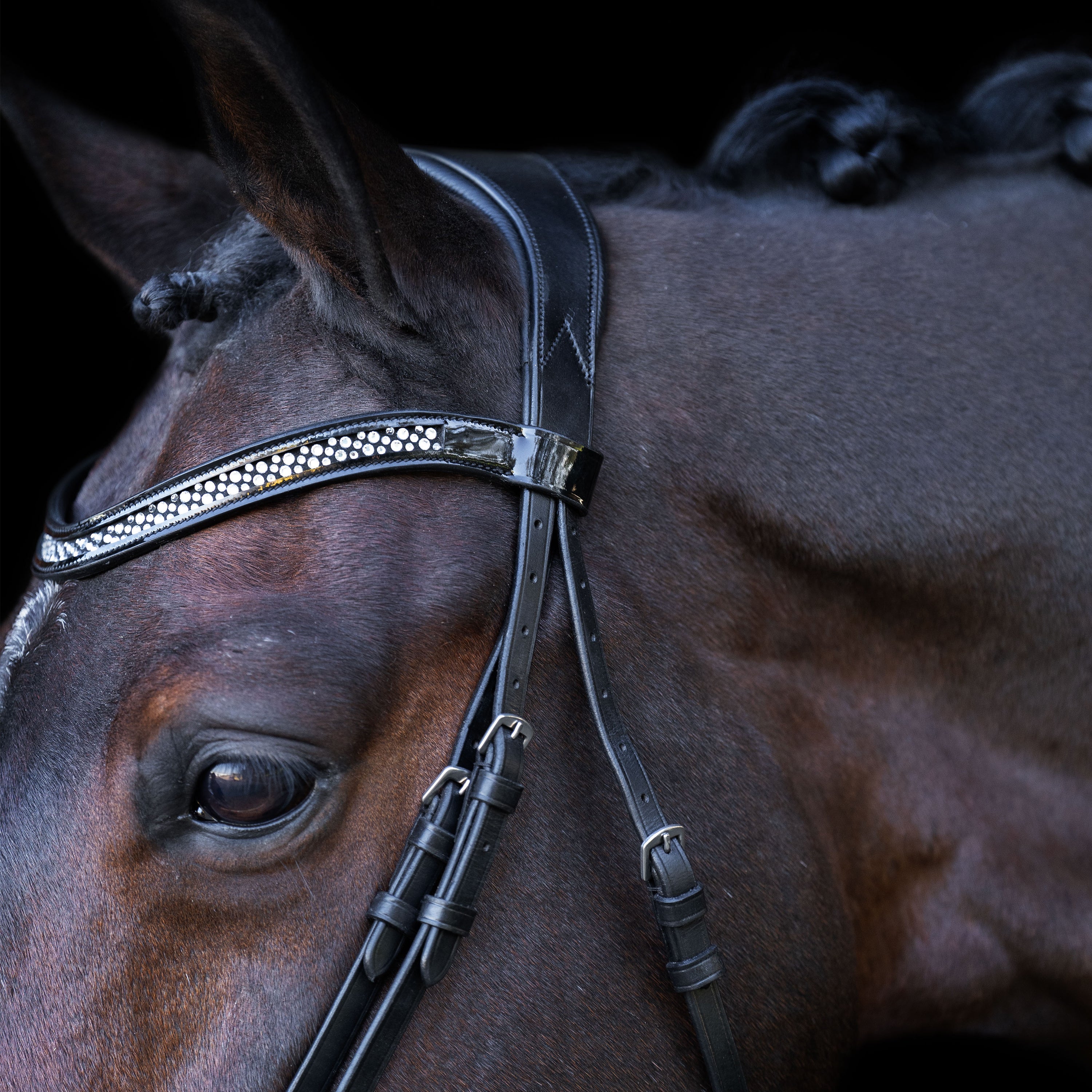 Snaffle bridle with English noseband IRH
