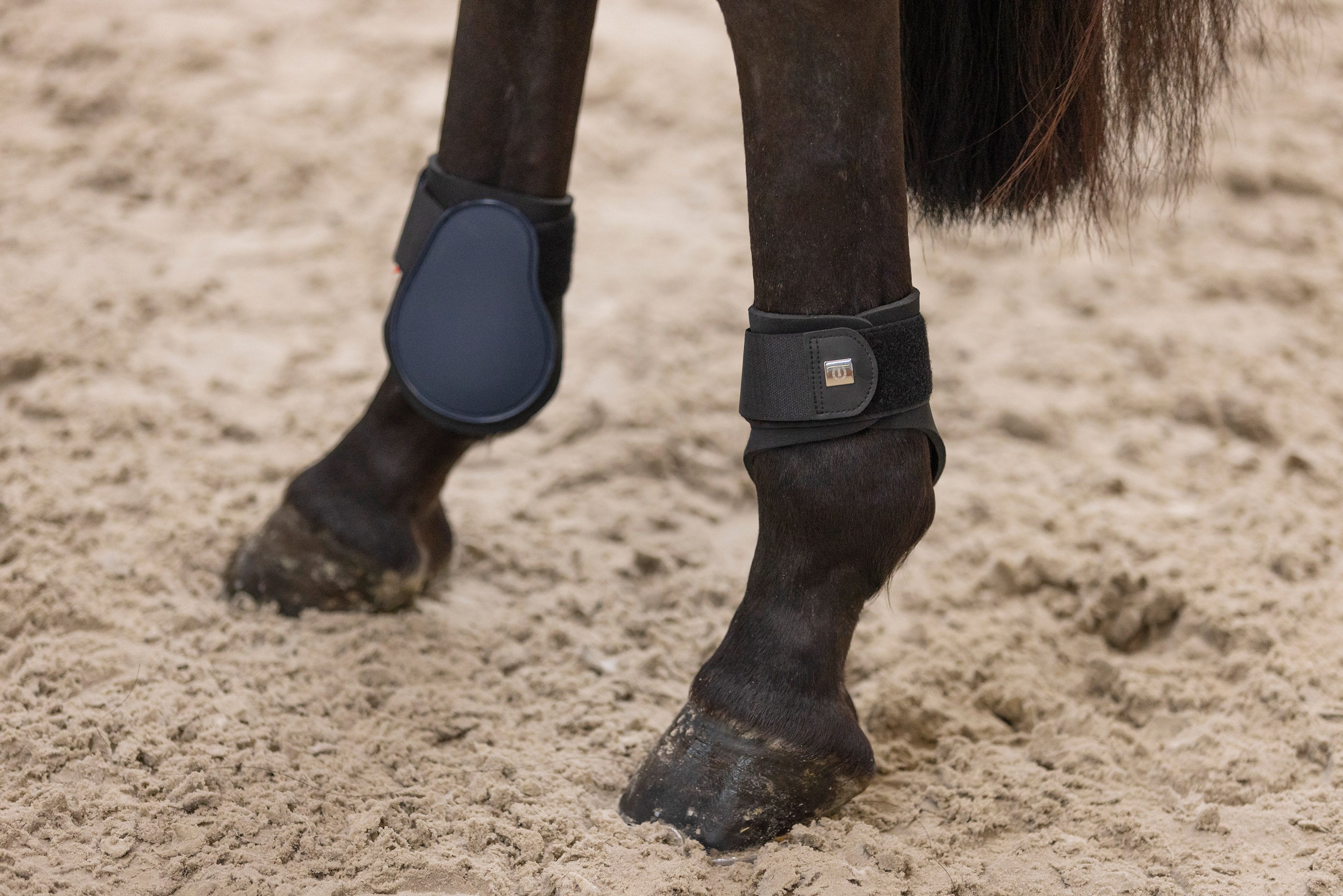 Fetlock boots IRHLovely