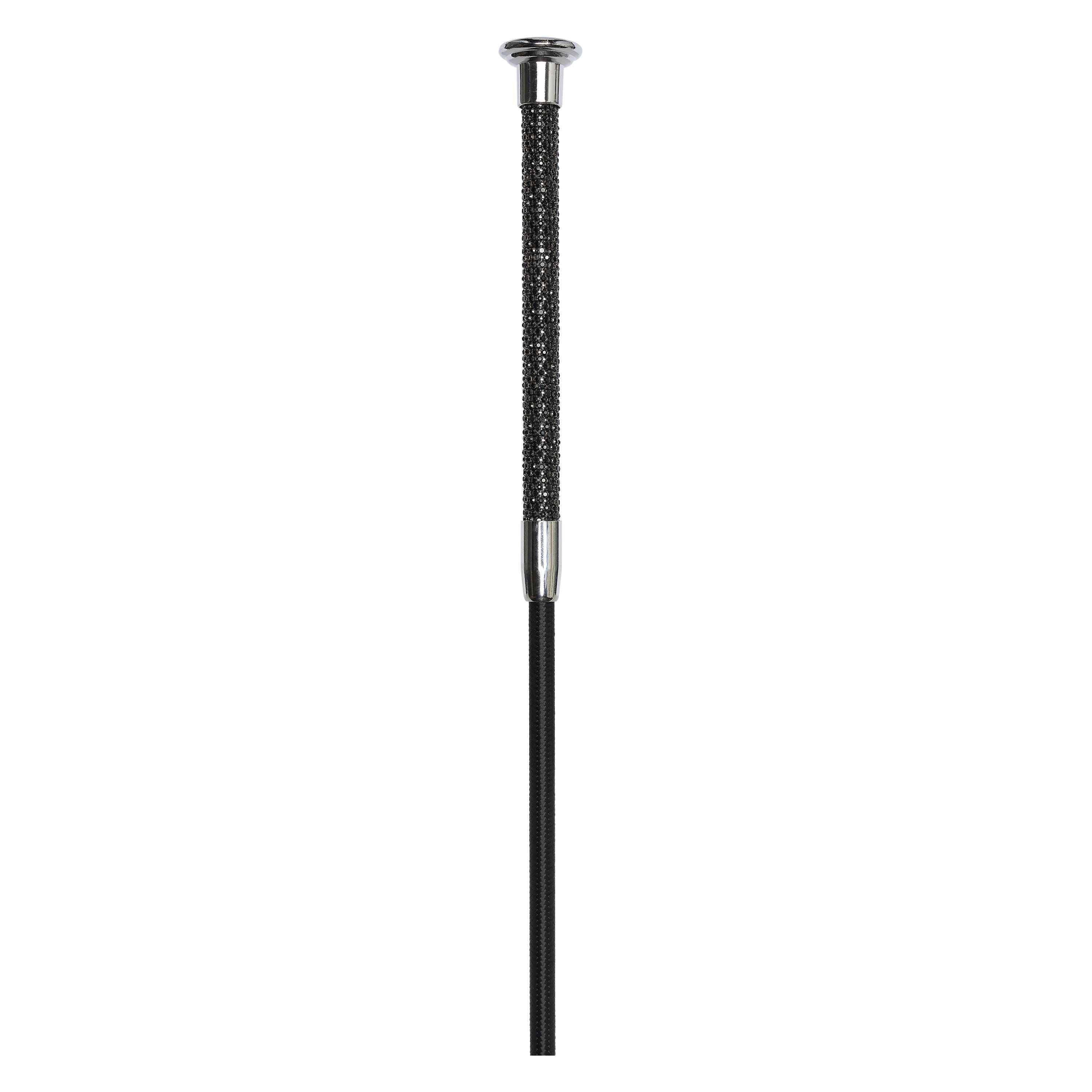 Dressage whip IRHStones