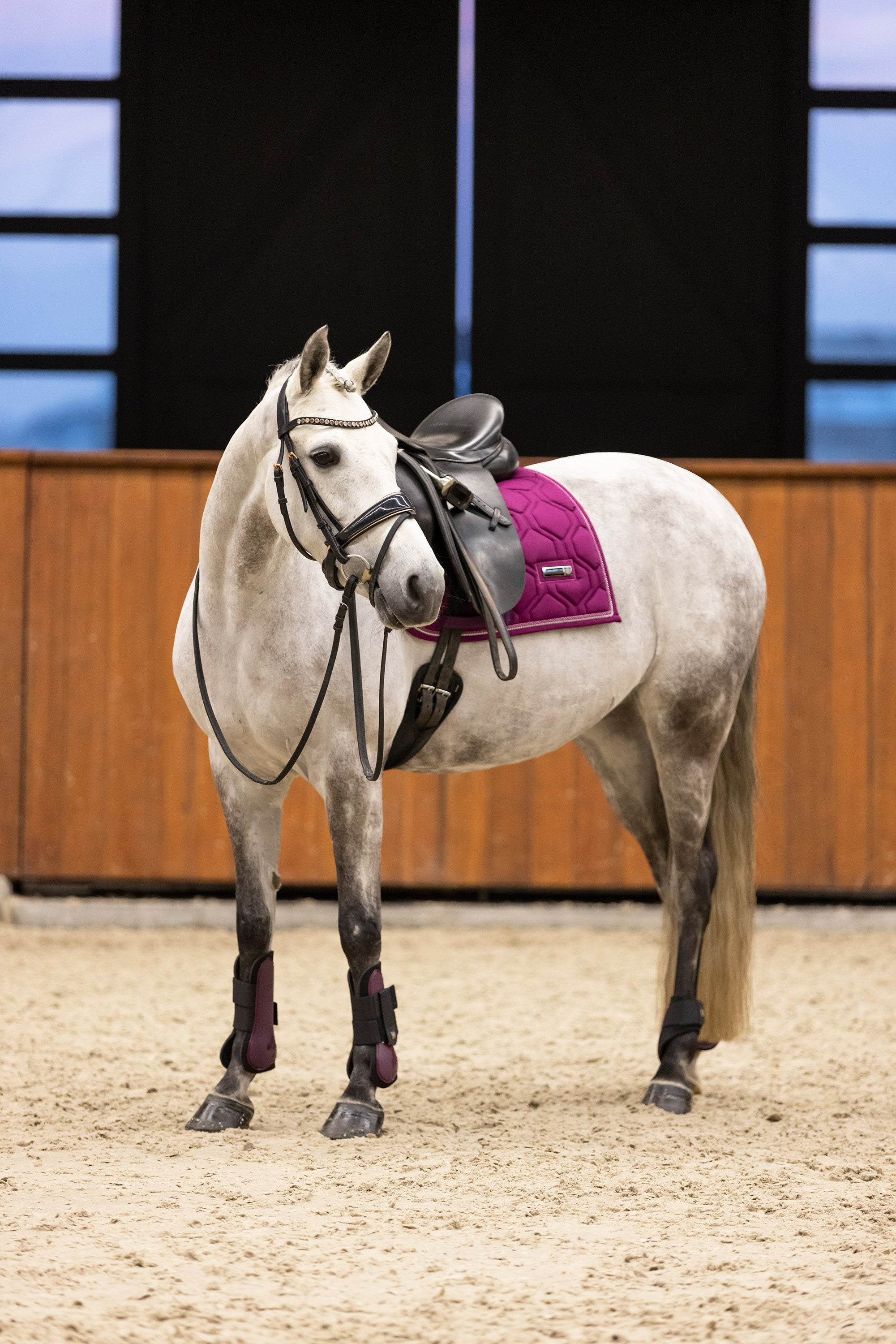 Fetlock boots IRHLovely