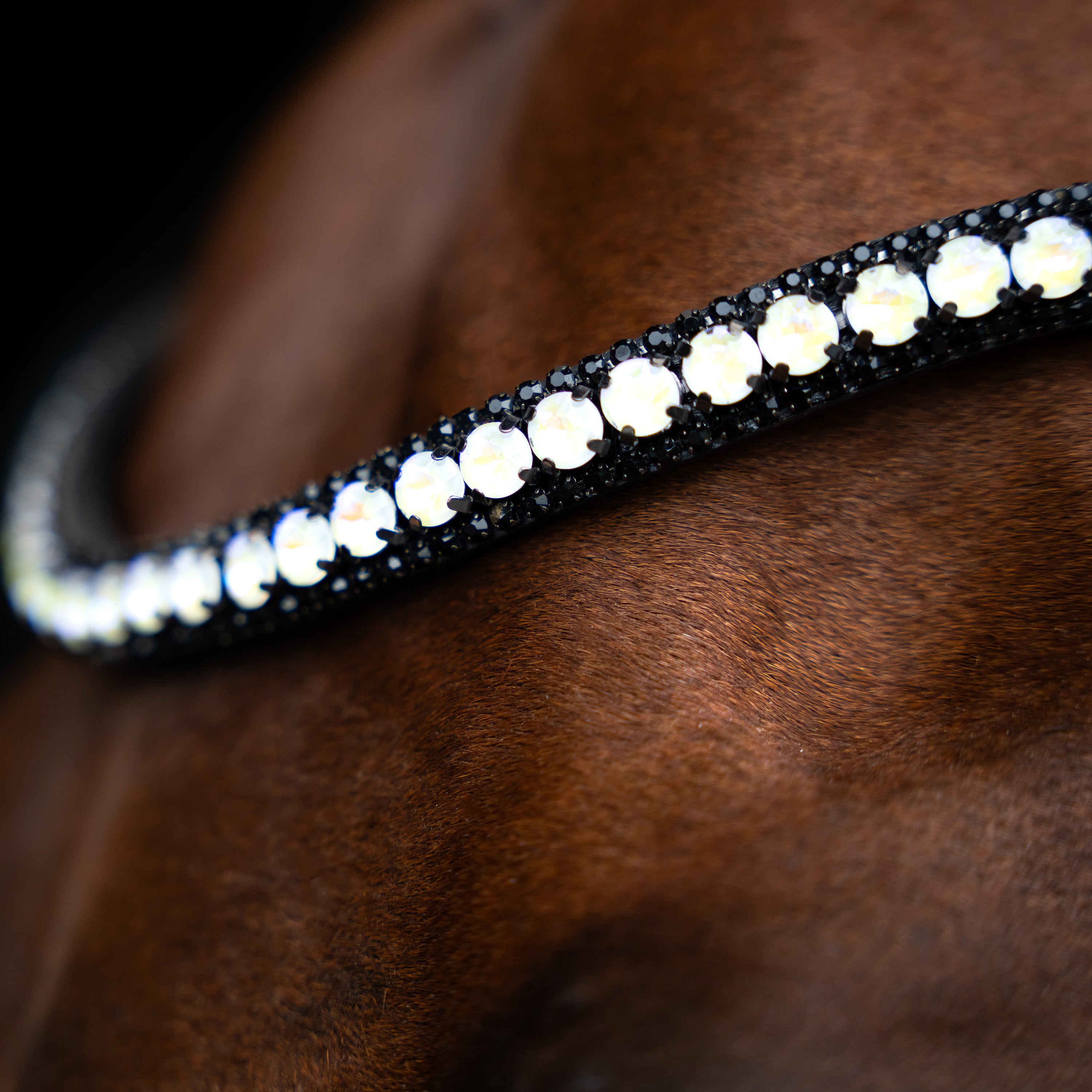 Browband IRHMaxima