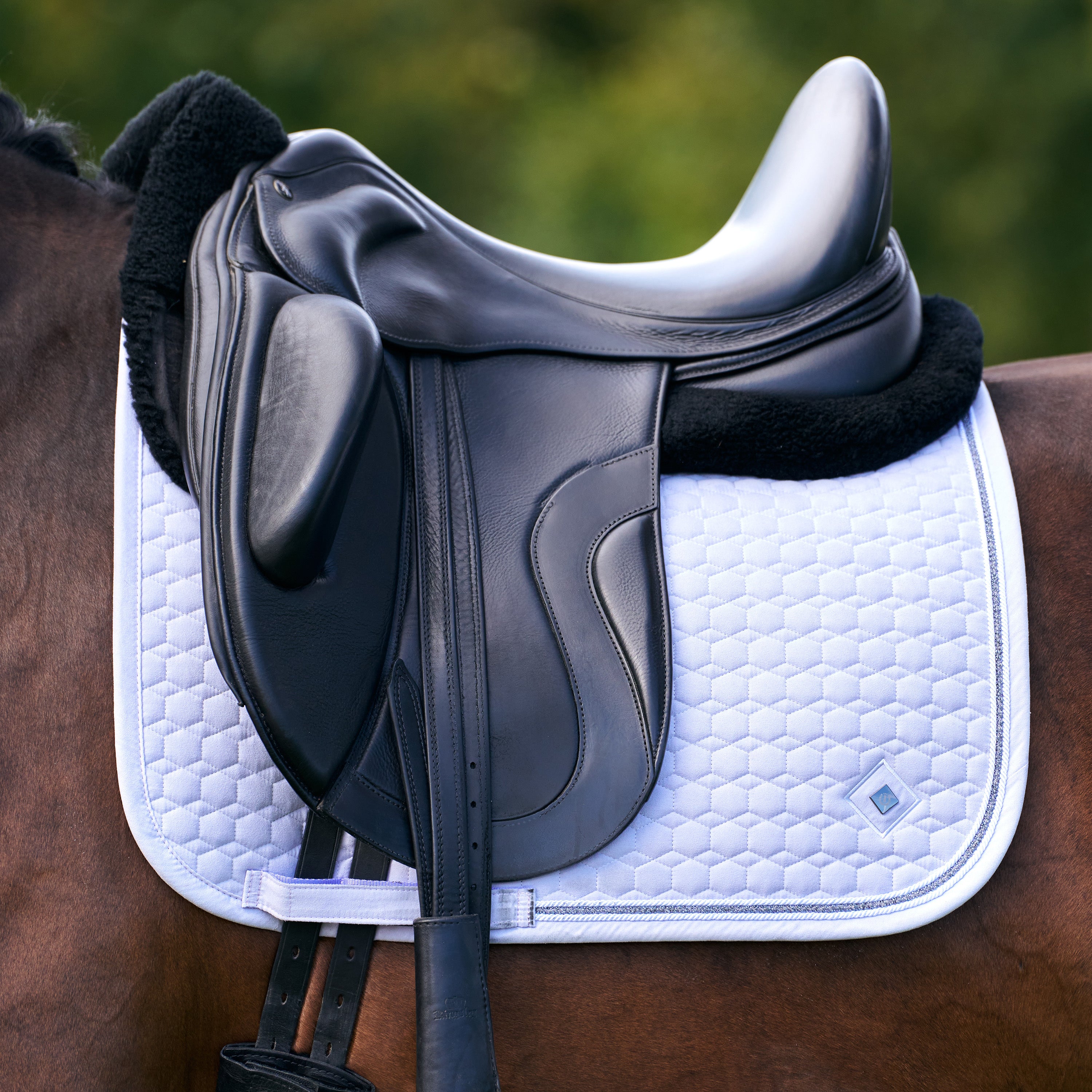 Saddlepad IRHMaria DR