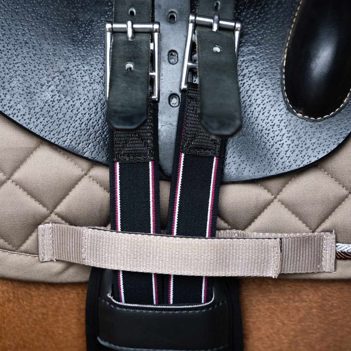 Jumping girth IRHBasic anatomic and neoprene
