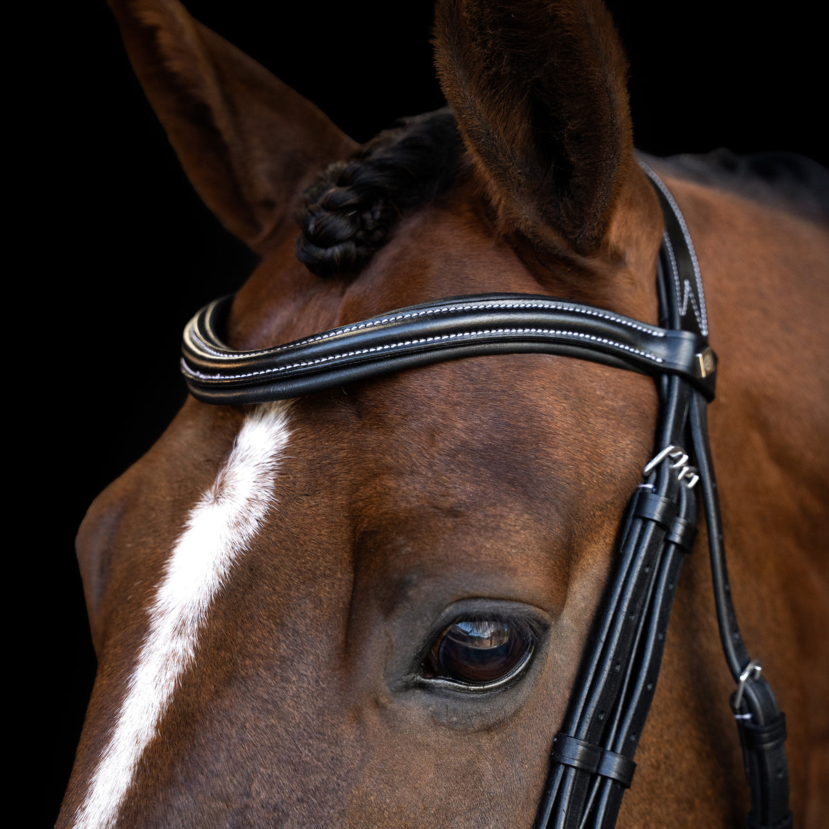 Bridle IRH with curved cut English noseband