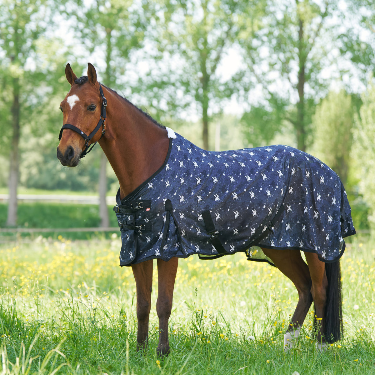 Fly blanket IRHCarlys