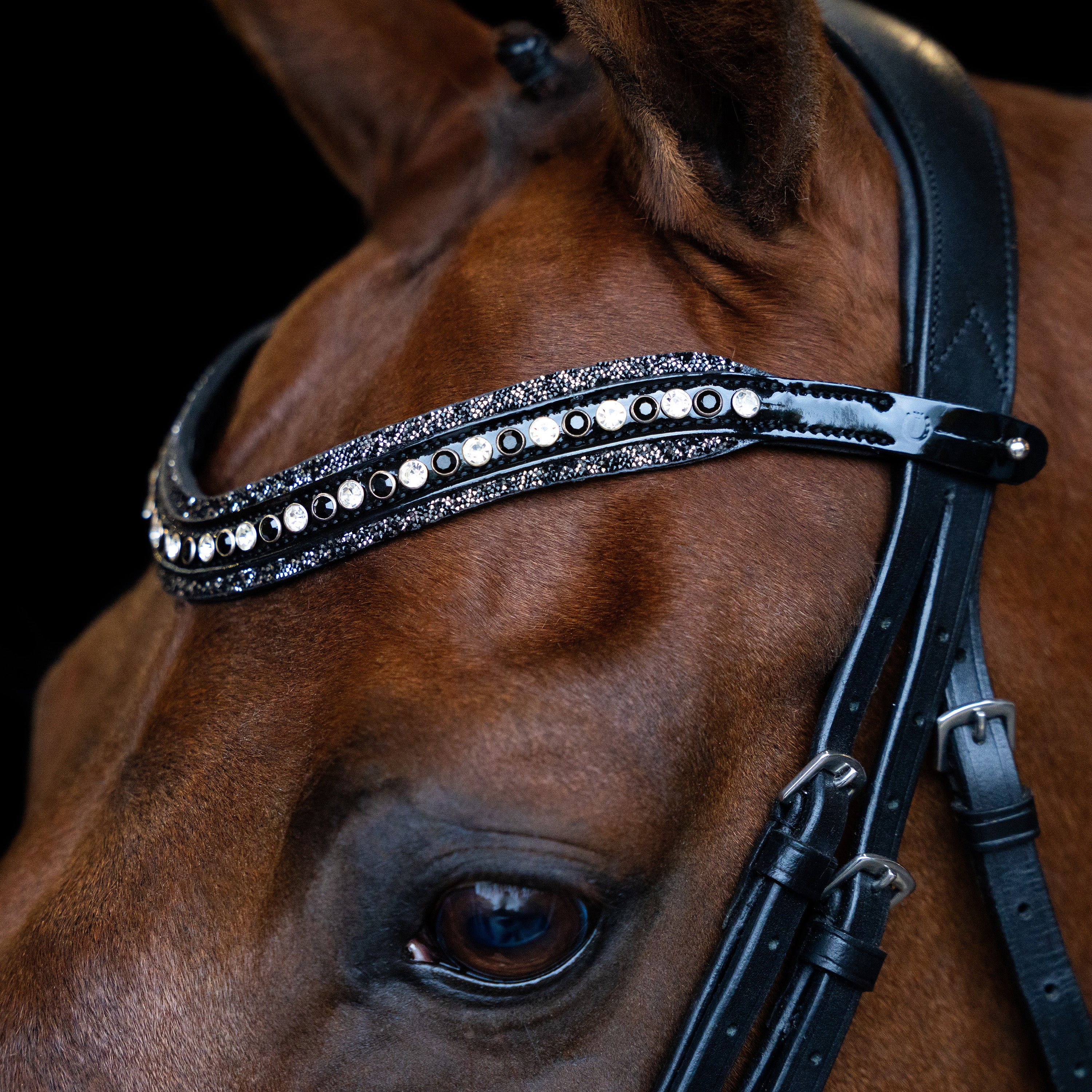 Browband IRHMaxima