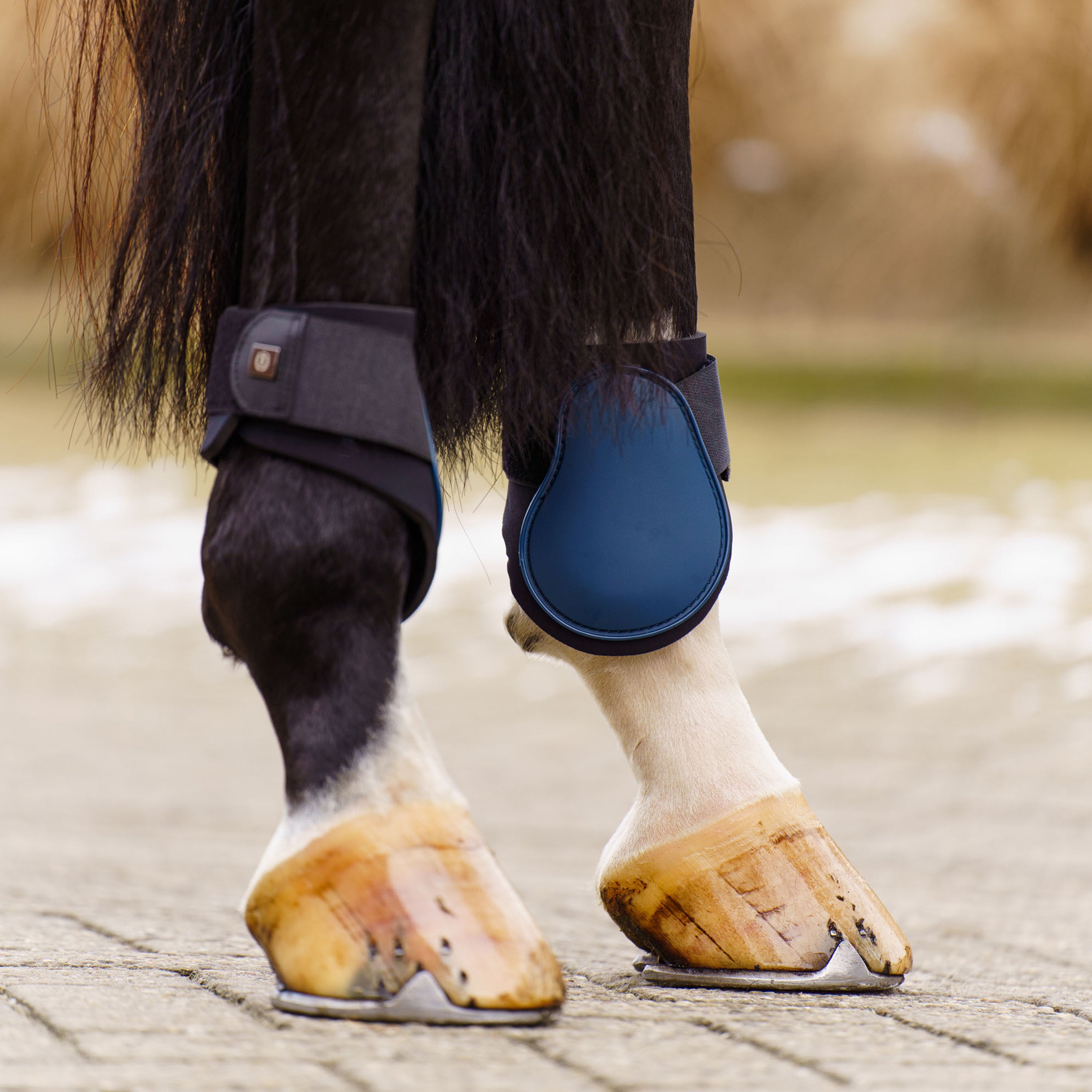 Fetlock boots IRHLovely