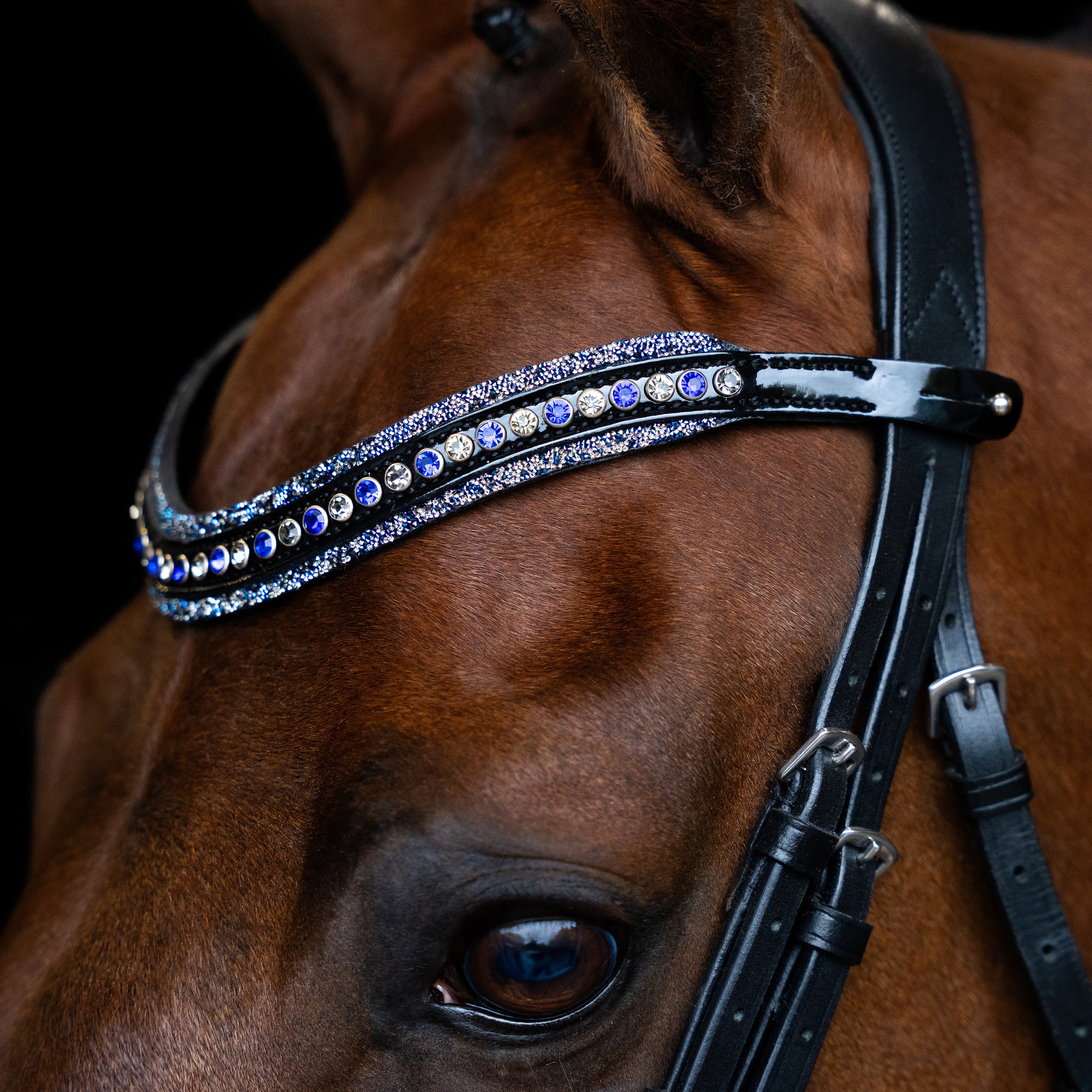 Browband IRHMaxima