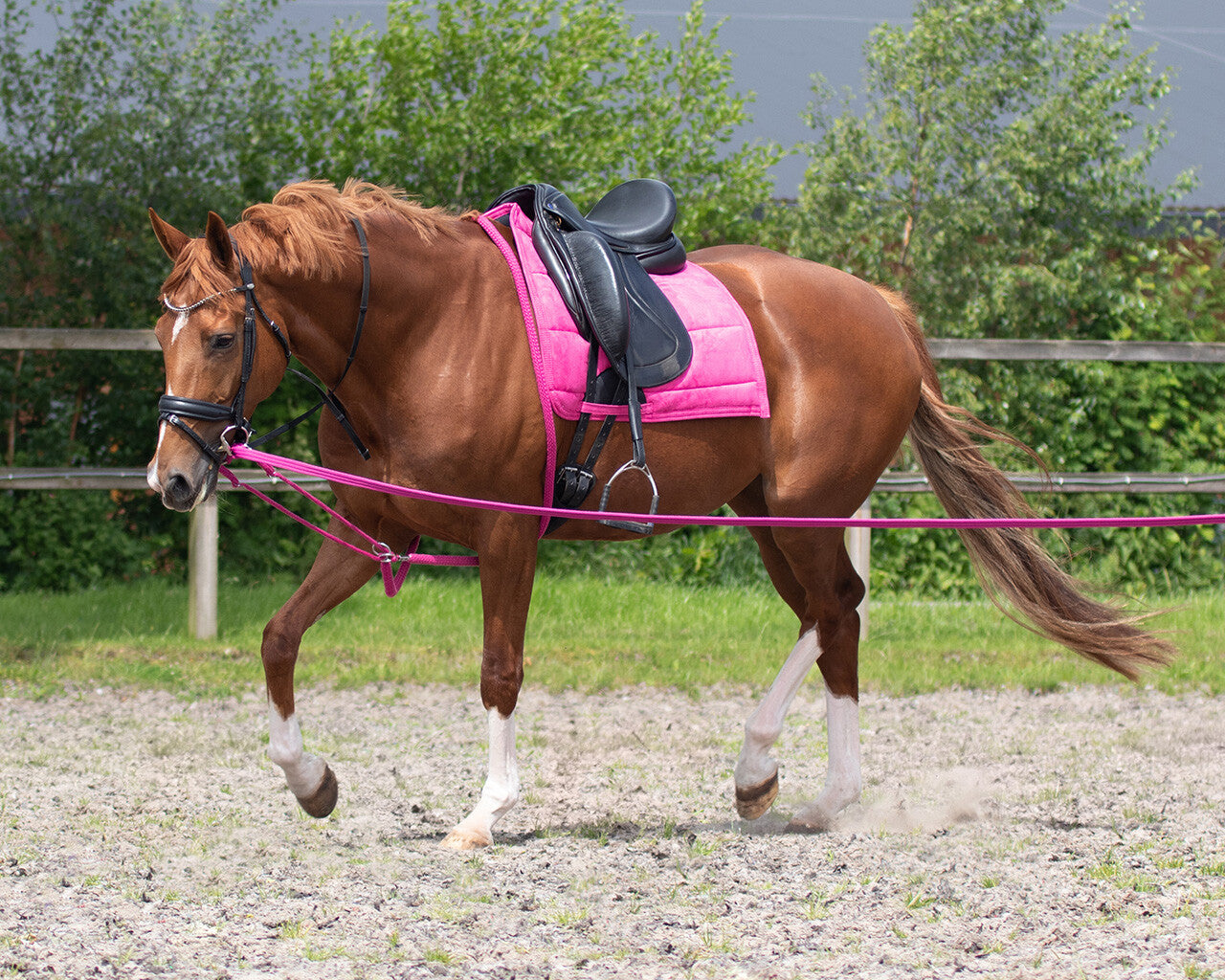 lunging rope