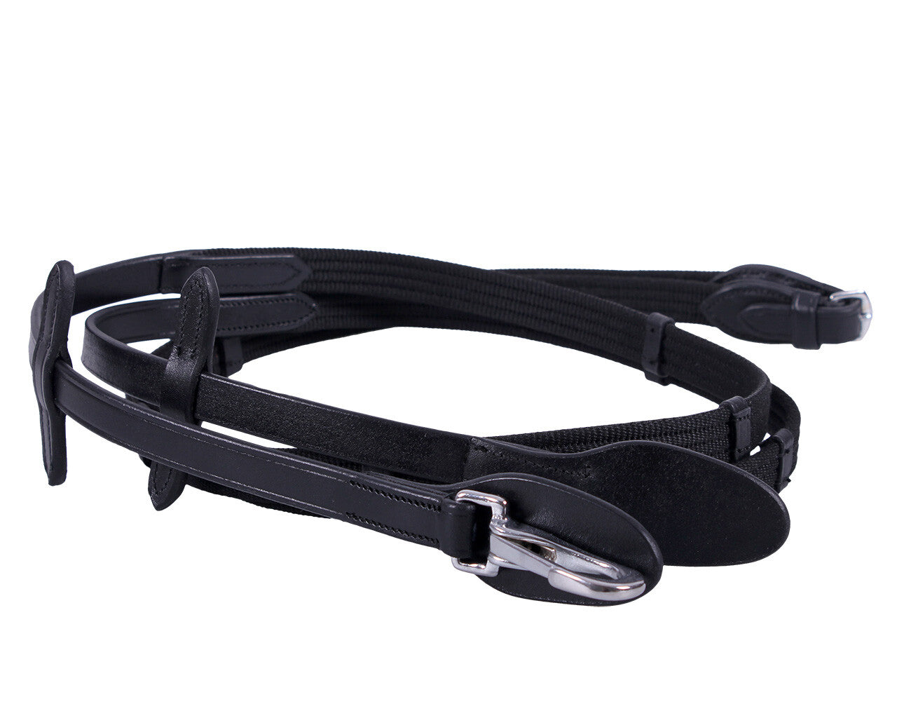 Web rein with clip