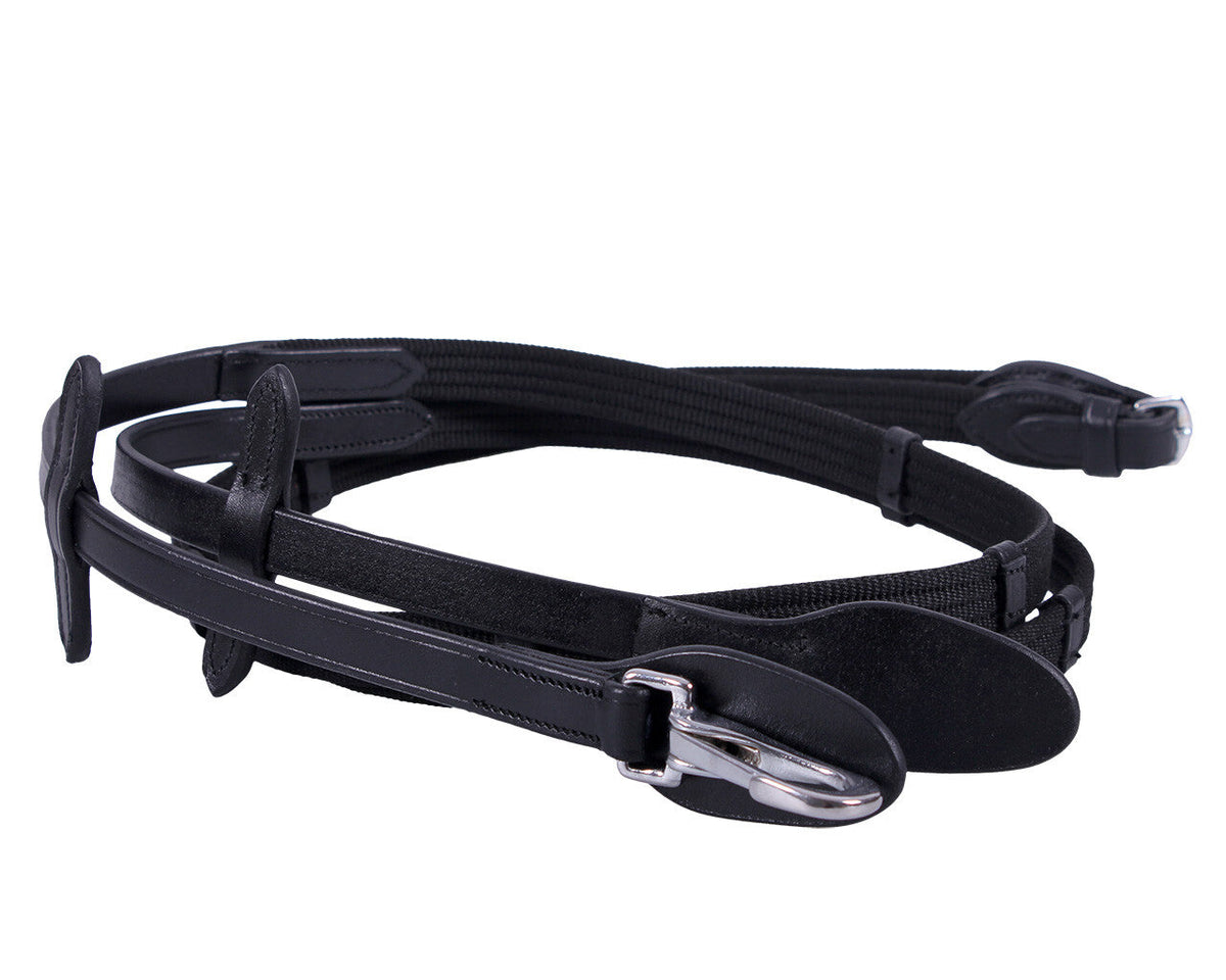 Web rein with clip