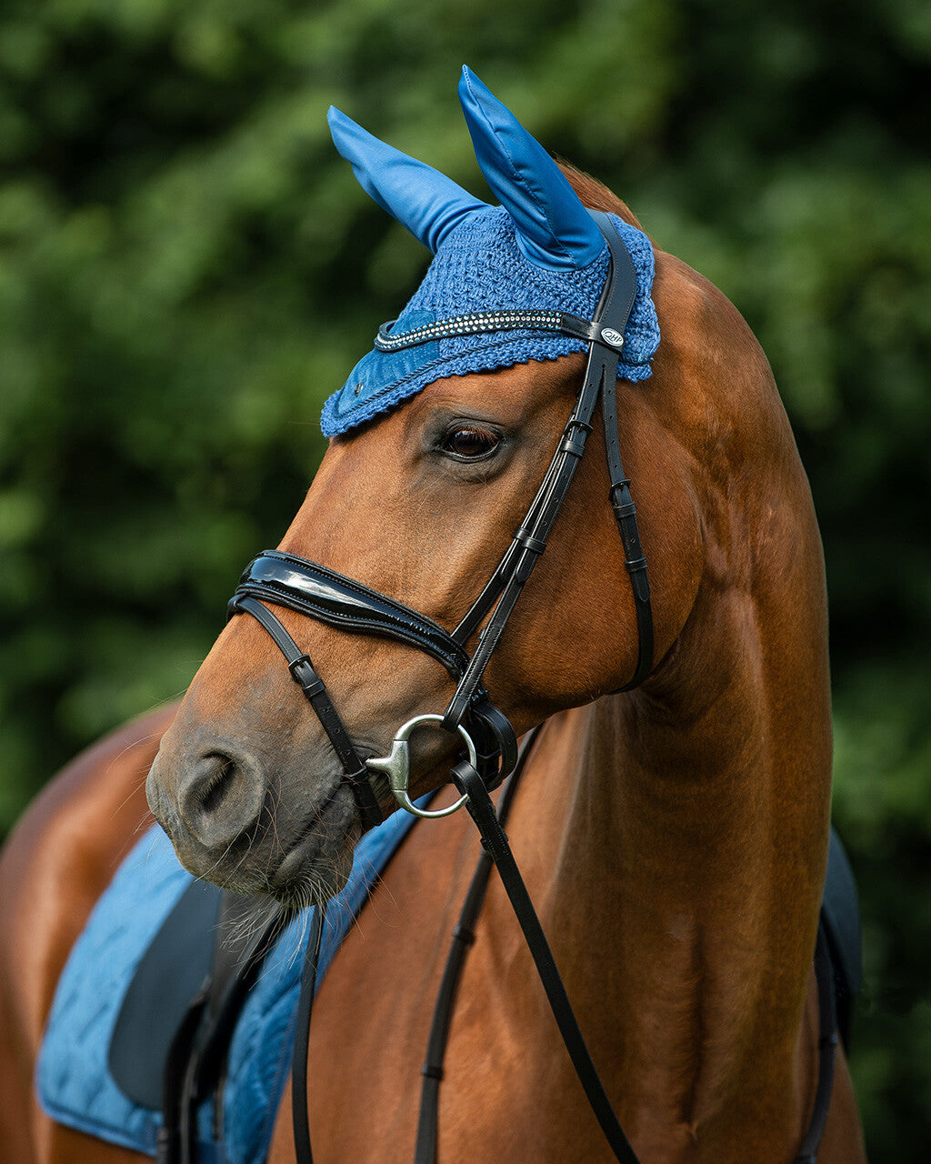 browband collection