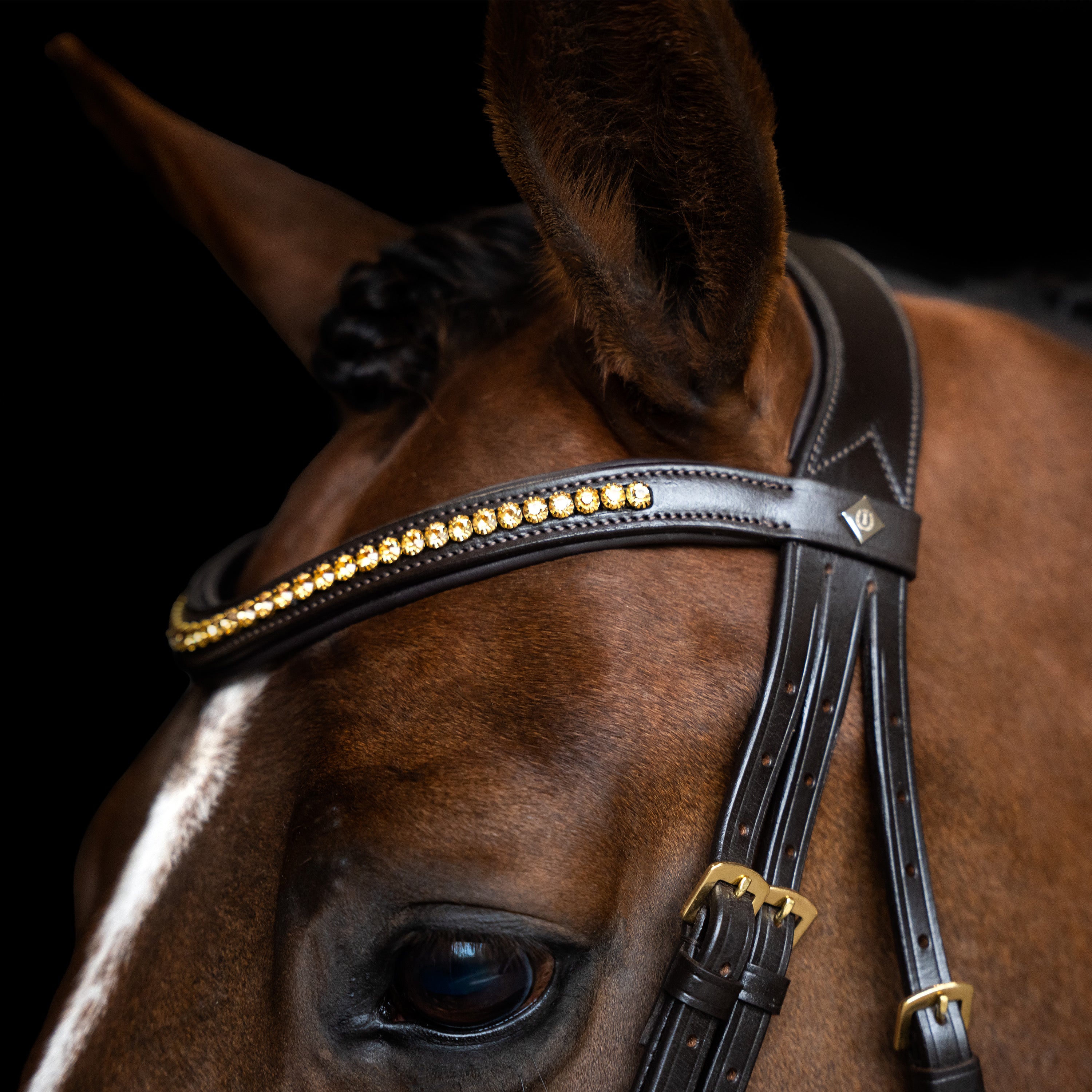 Bridle with simple combined noseband IRH