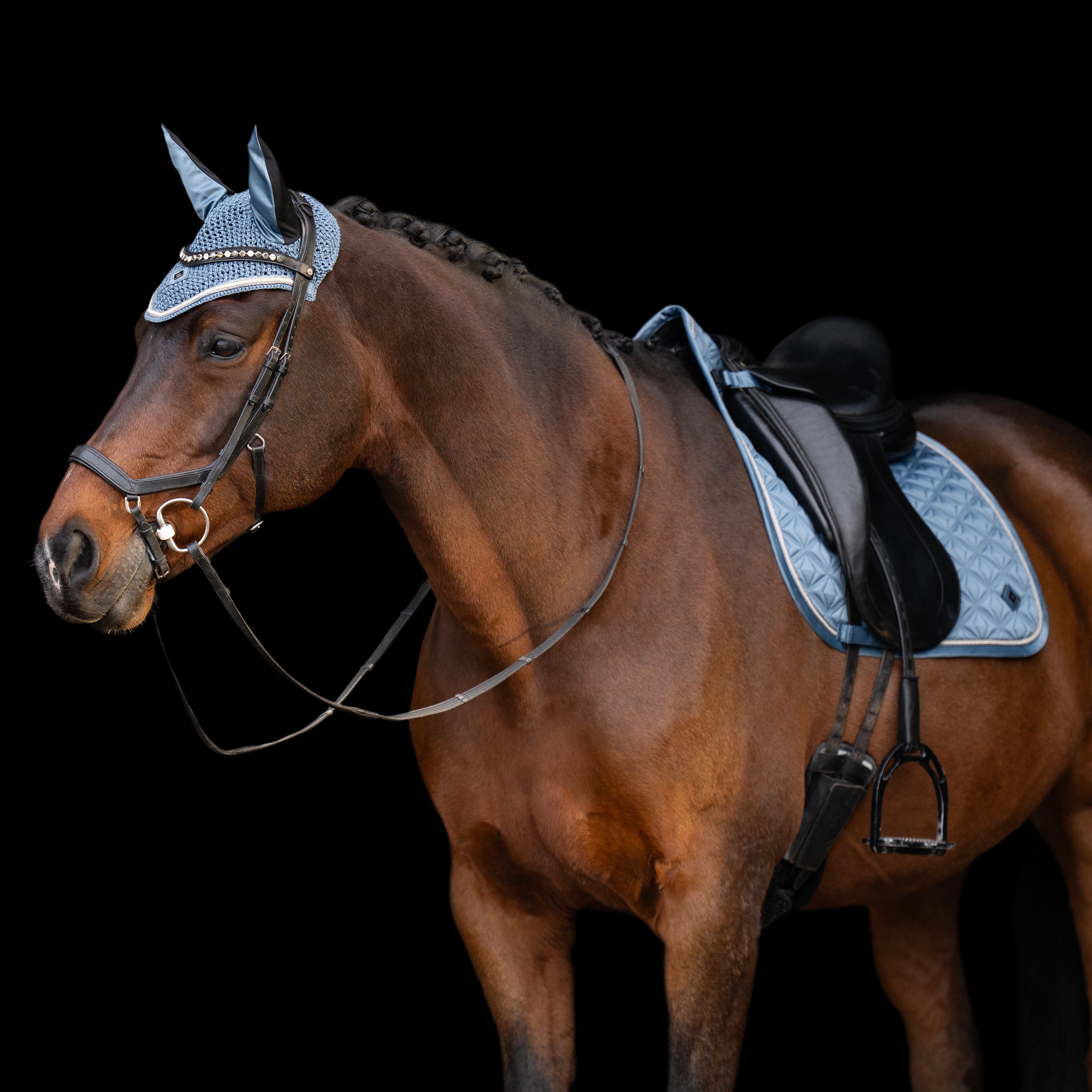 Saddlepad IRHLenny DR