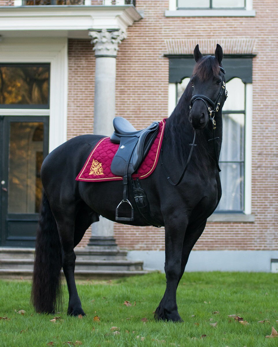 saddle pad baroque