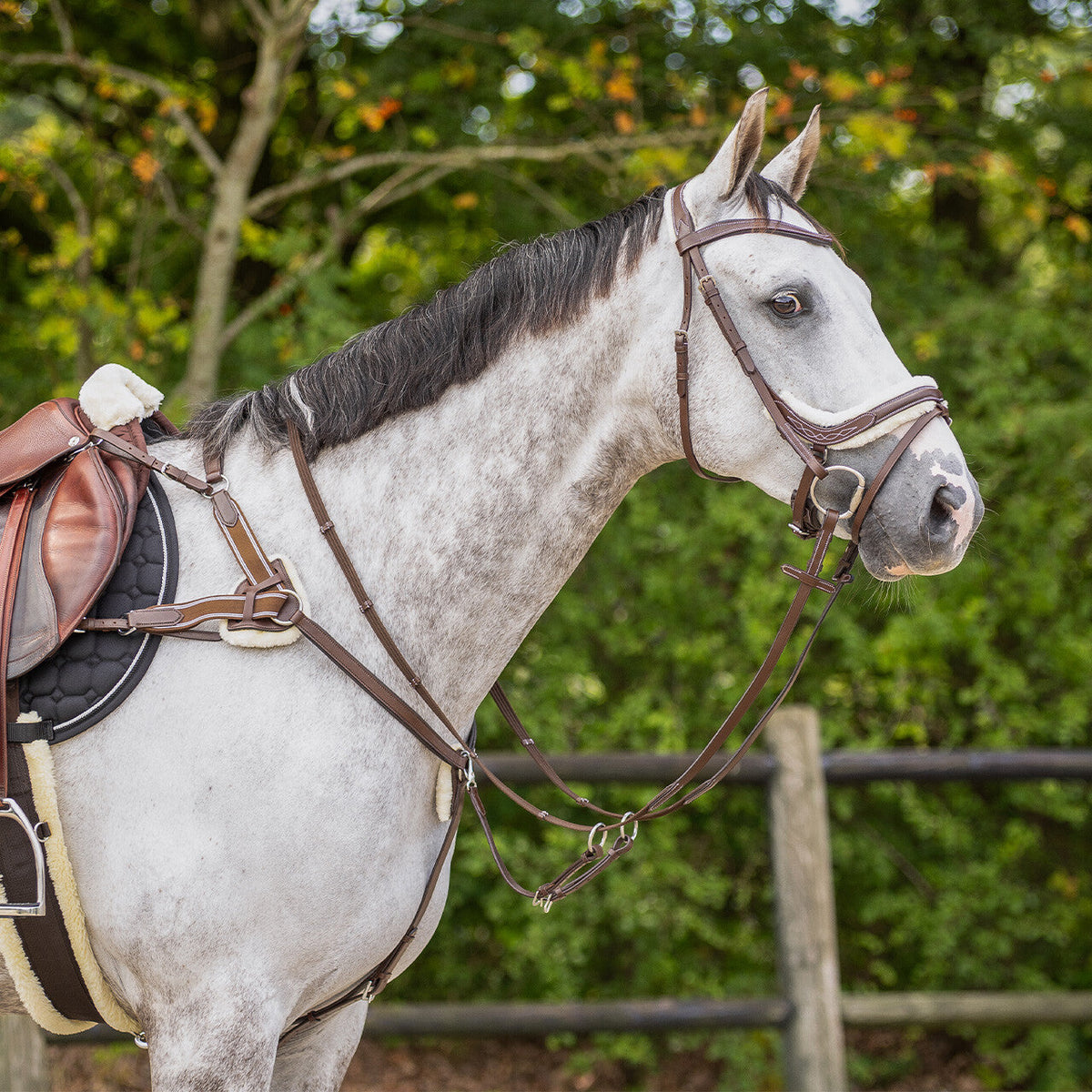 Breastplate Ontario