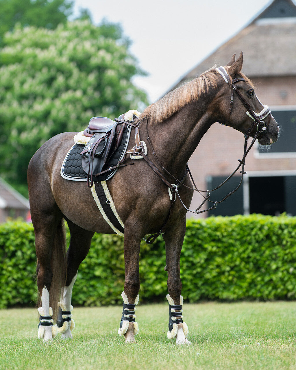 Breastplate Ontario