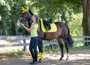 CAVALCOLINO G MOBILE schwarz / 44