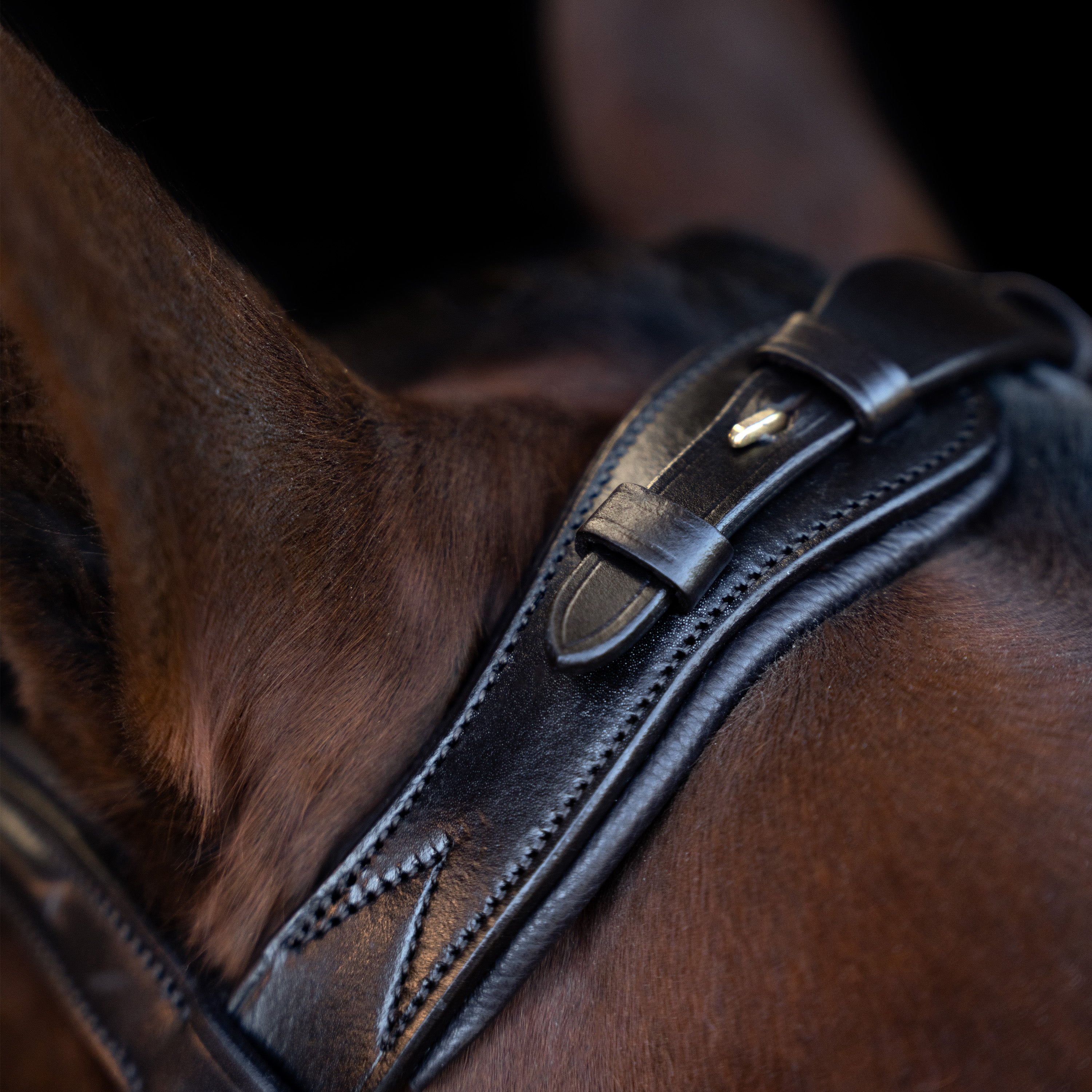 Bridle IRH with ergonomic drop noseband/flash
