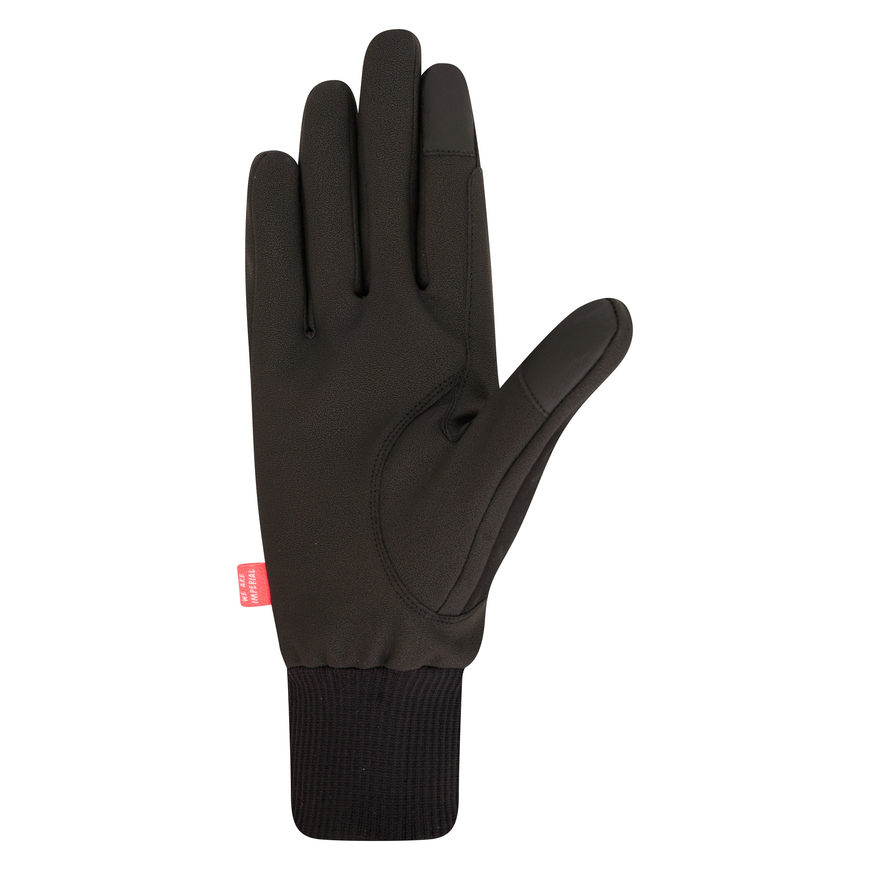 Gloves IRHHide & Shine