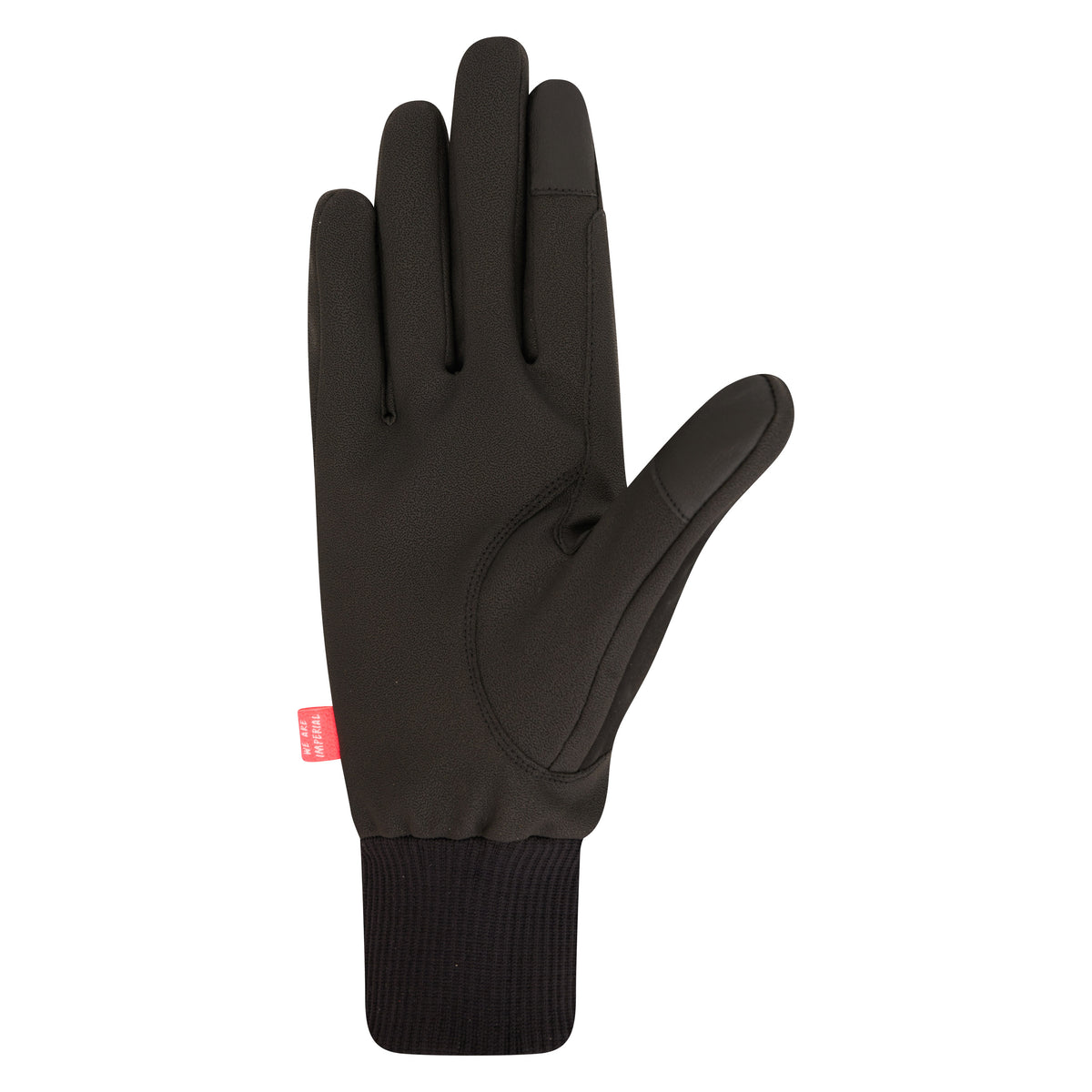 Gloves IRHHide & Shine