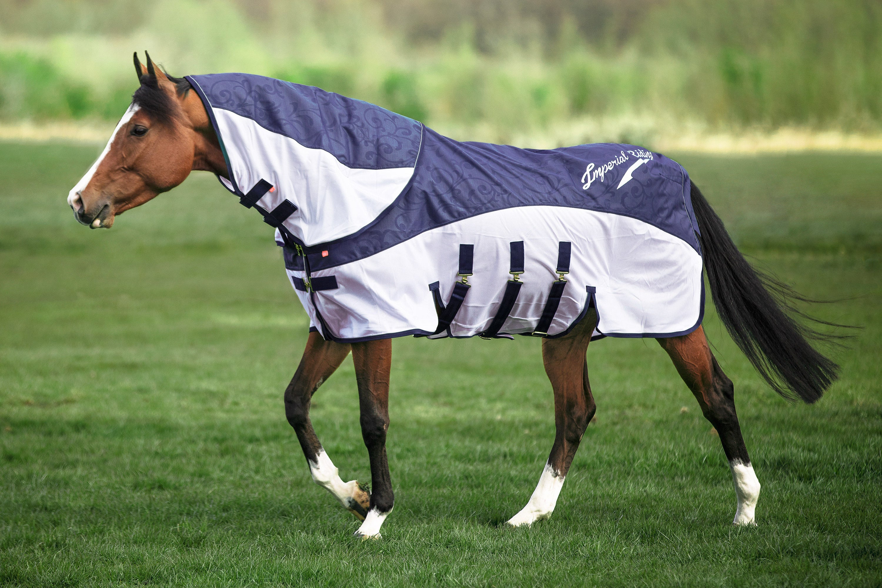 Rain & Fly blanket IRHSuper-dry