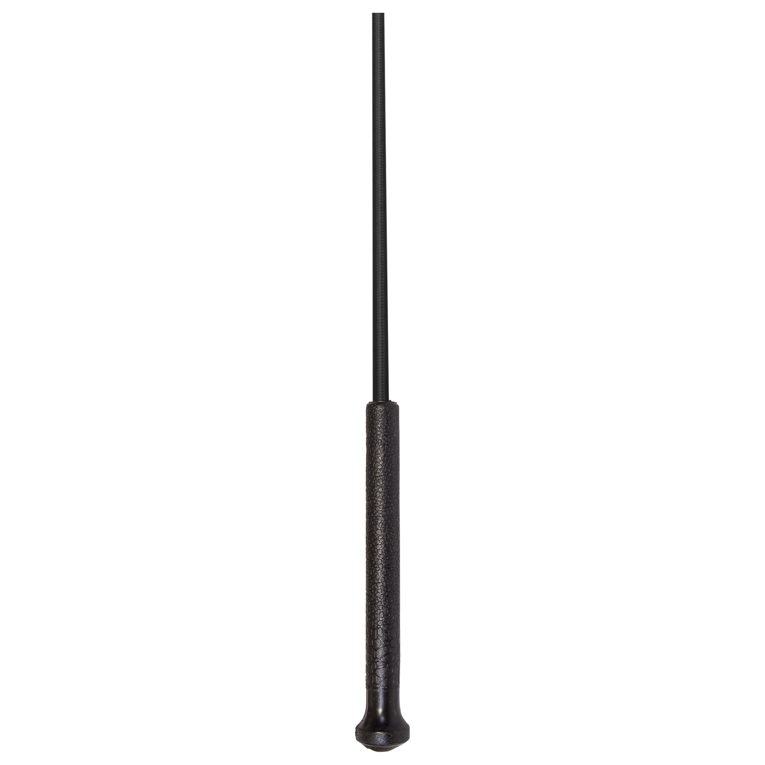 Riding whip IRHEconomic