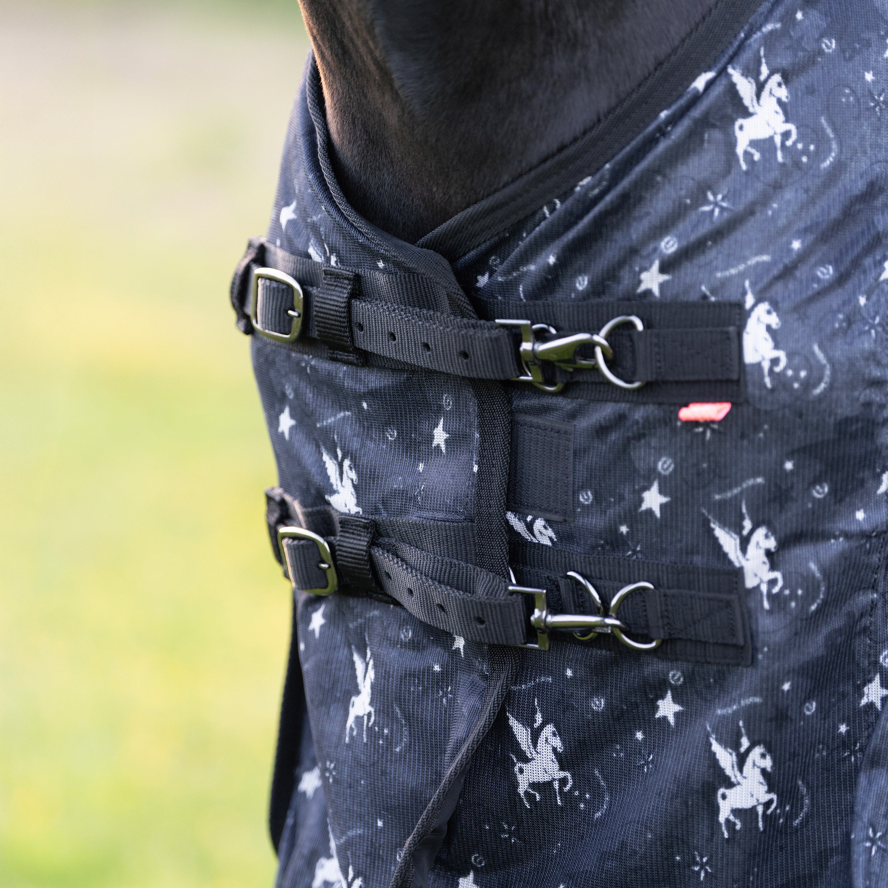Fly blanket IRHCarlys