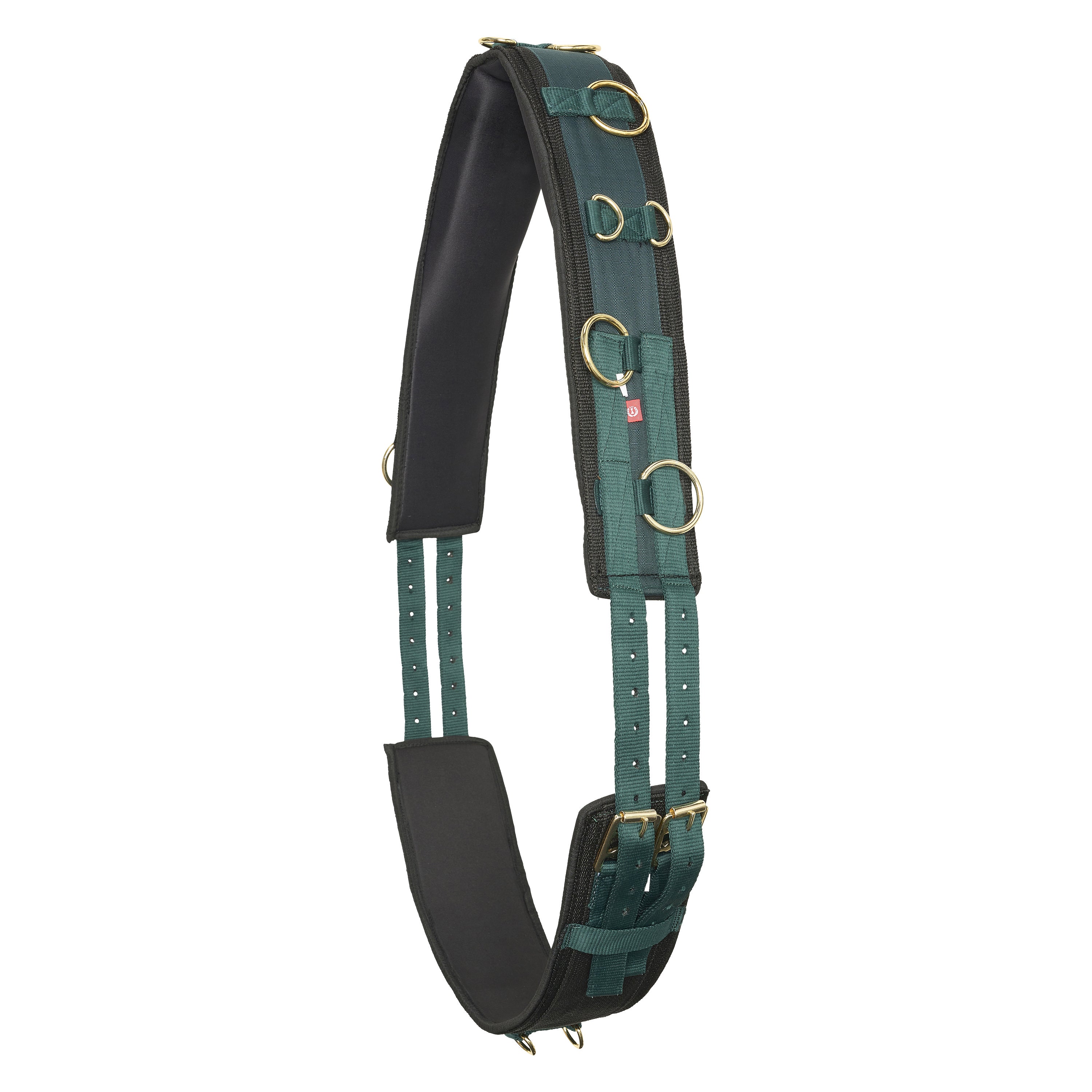 Lunging girth IRHDeluxe Extra