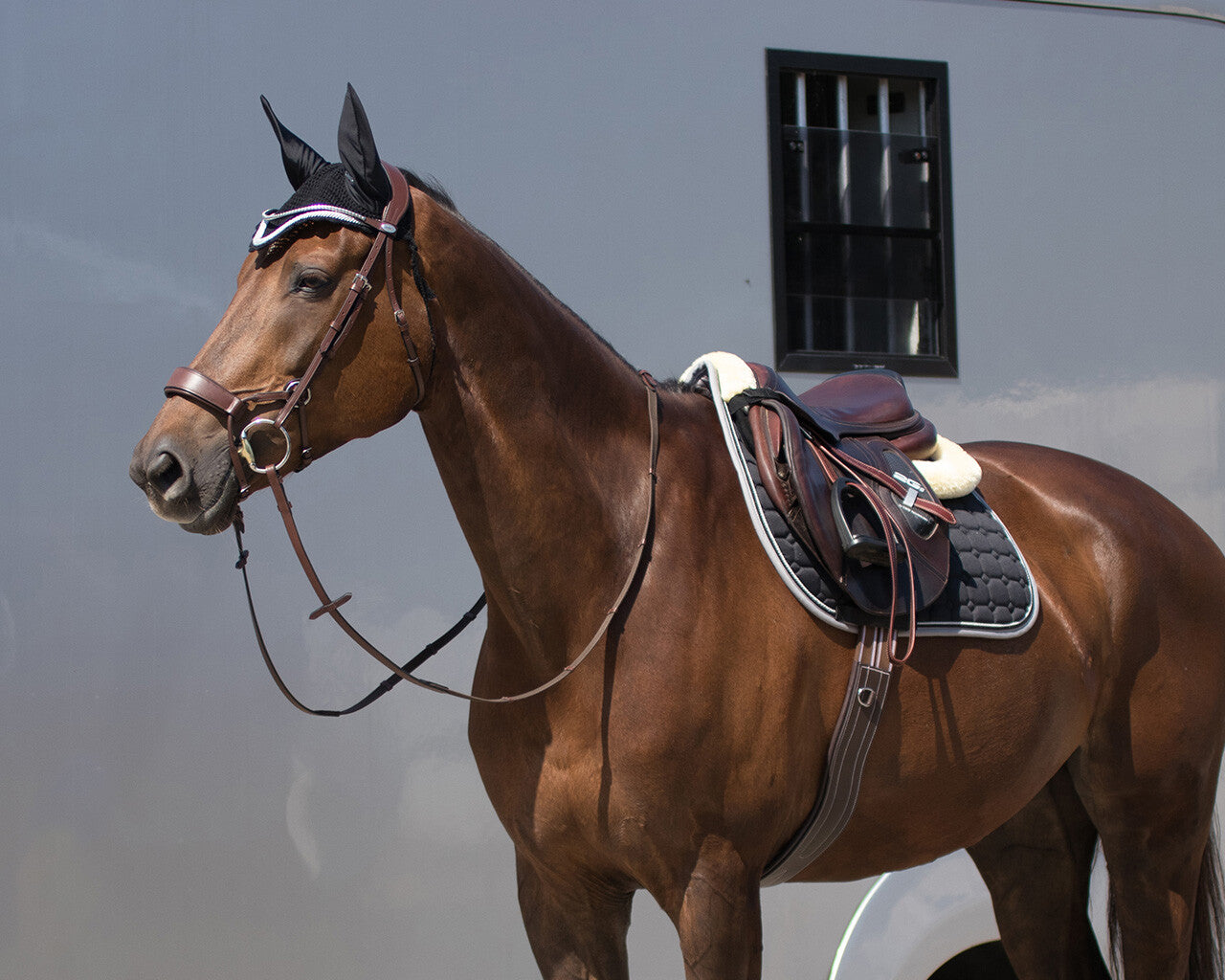 Girth with luxury stitching