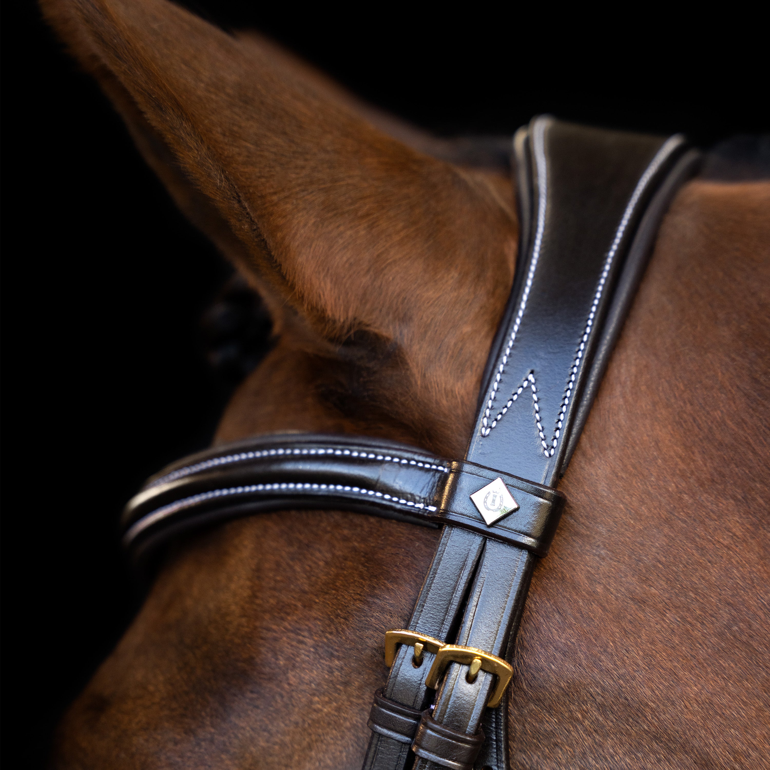 Bridle IRH with curved cut English noseband