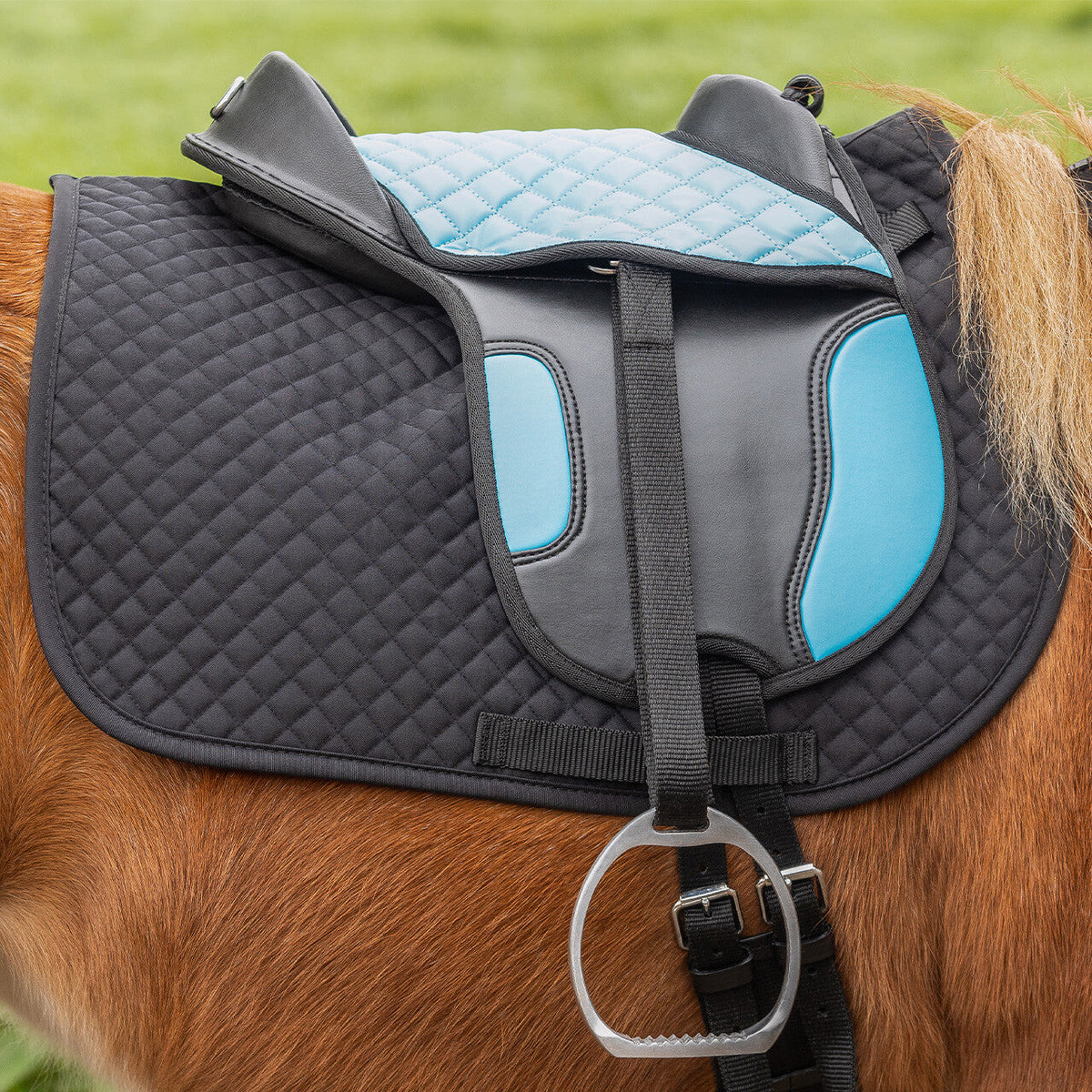 Shetland saddle