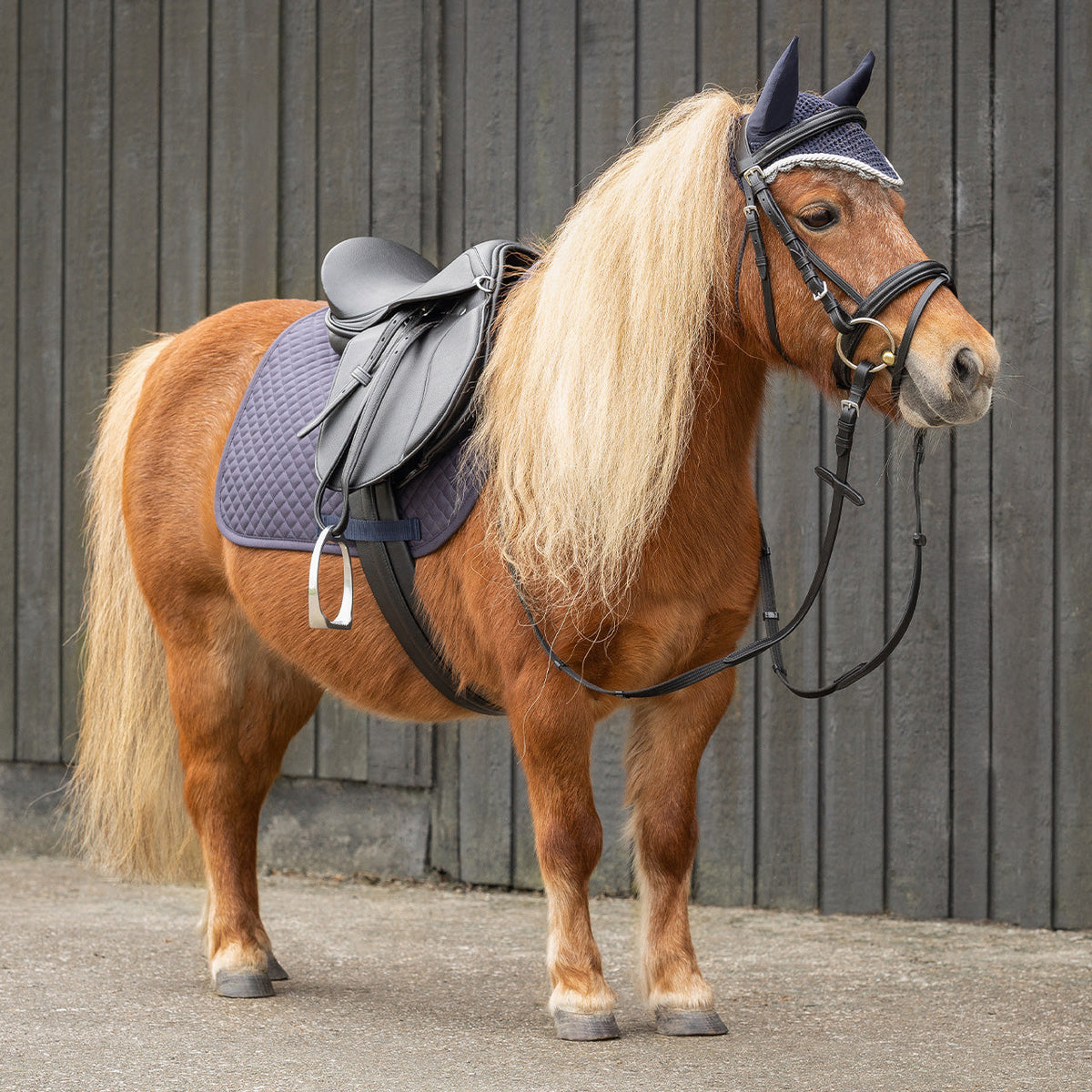 Complete saddle set