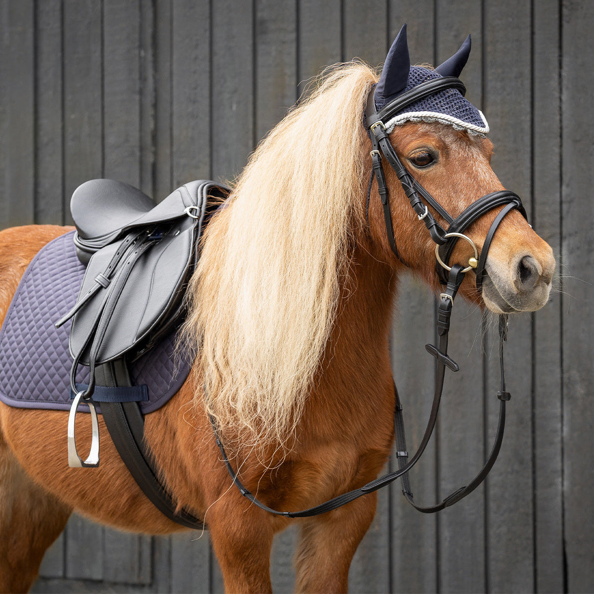 Complete saddle set