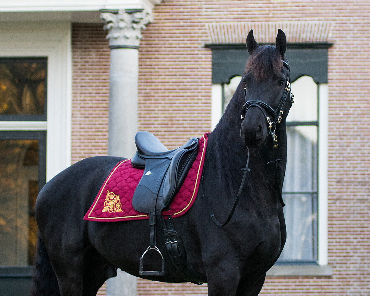 saddle pad baroque