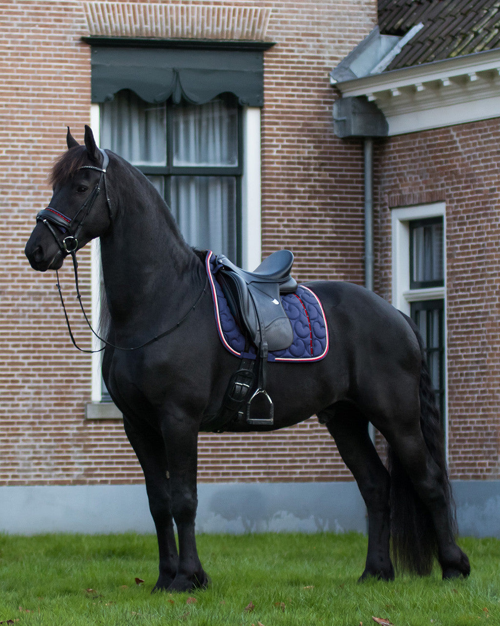 saddle pad q friesian