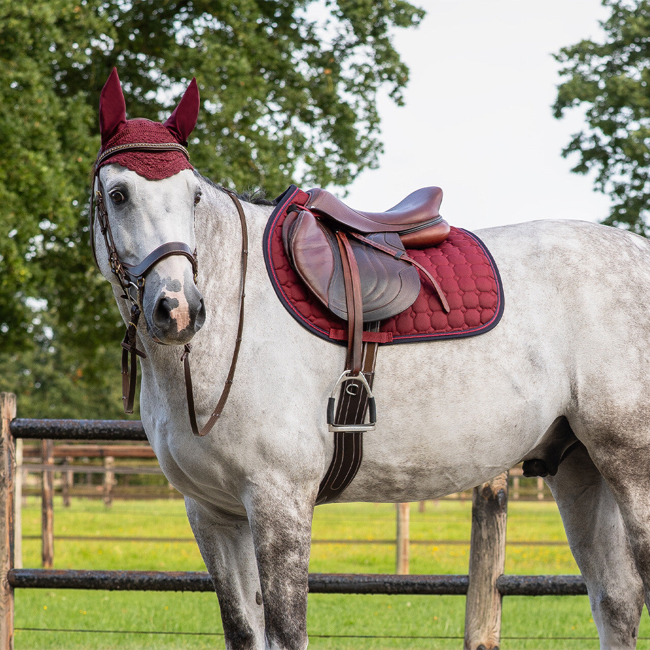 Saddle pad Florence