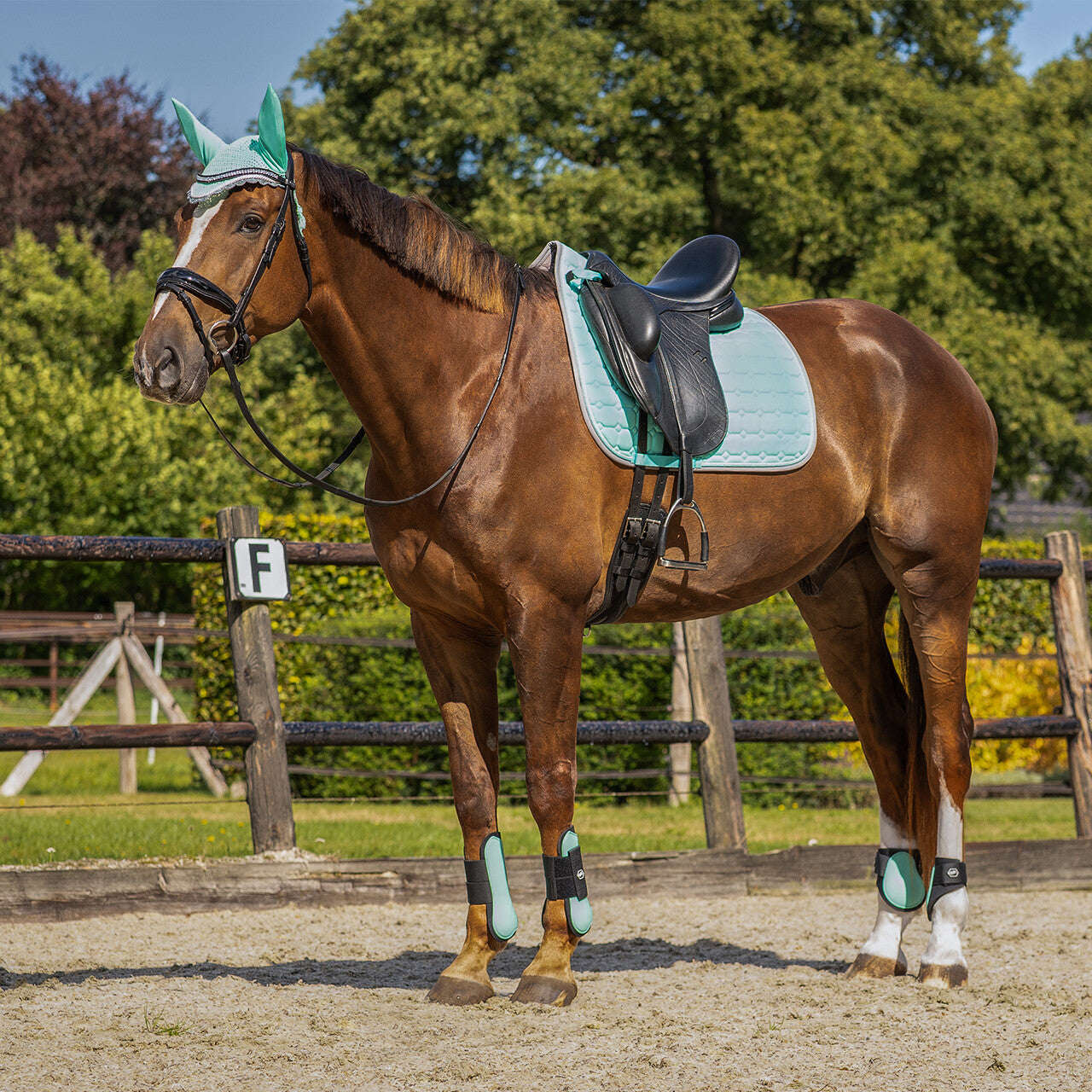 Saddle pad Florence