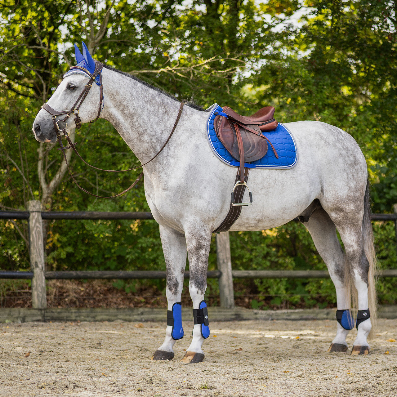 Saddle pad Florence
