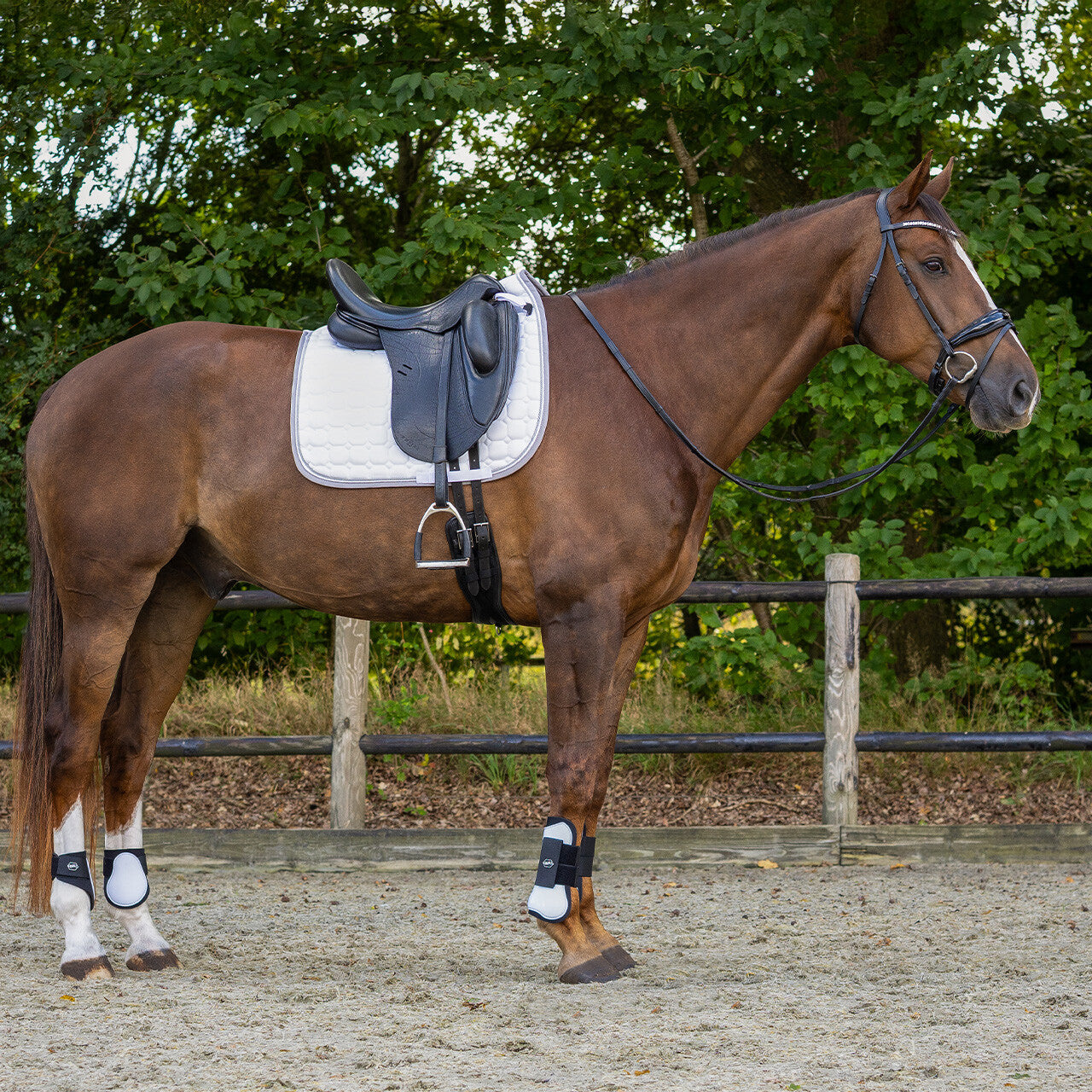 Saddle pad Florence